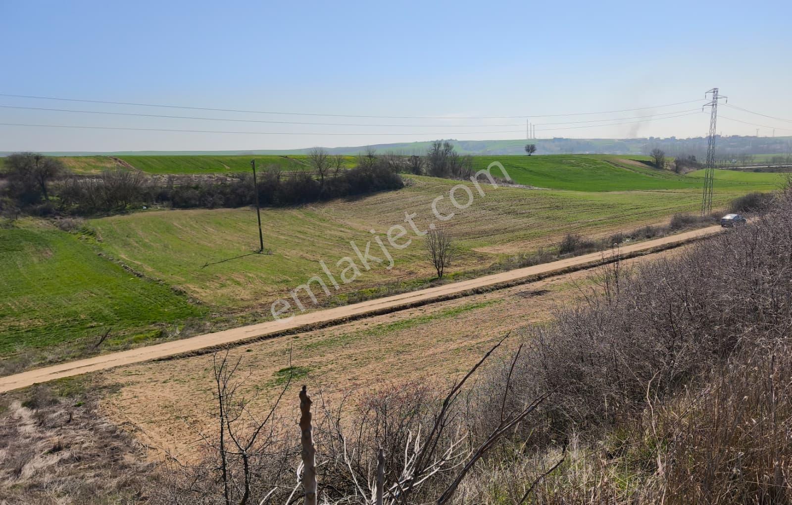 Edirne Mükemmel Konumda - Görsel 4