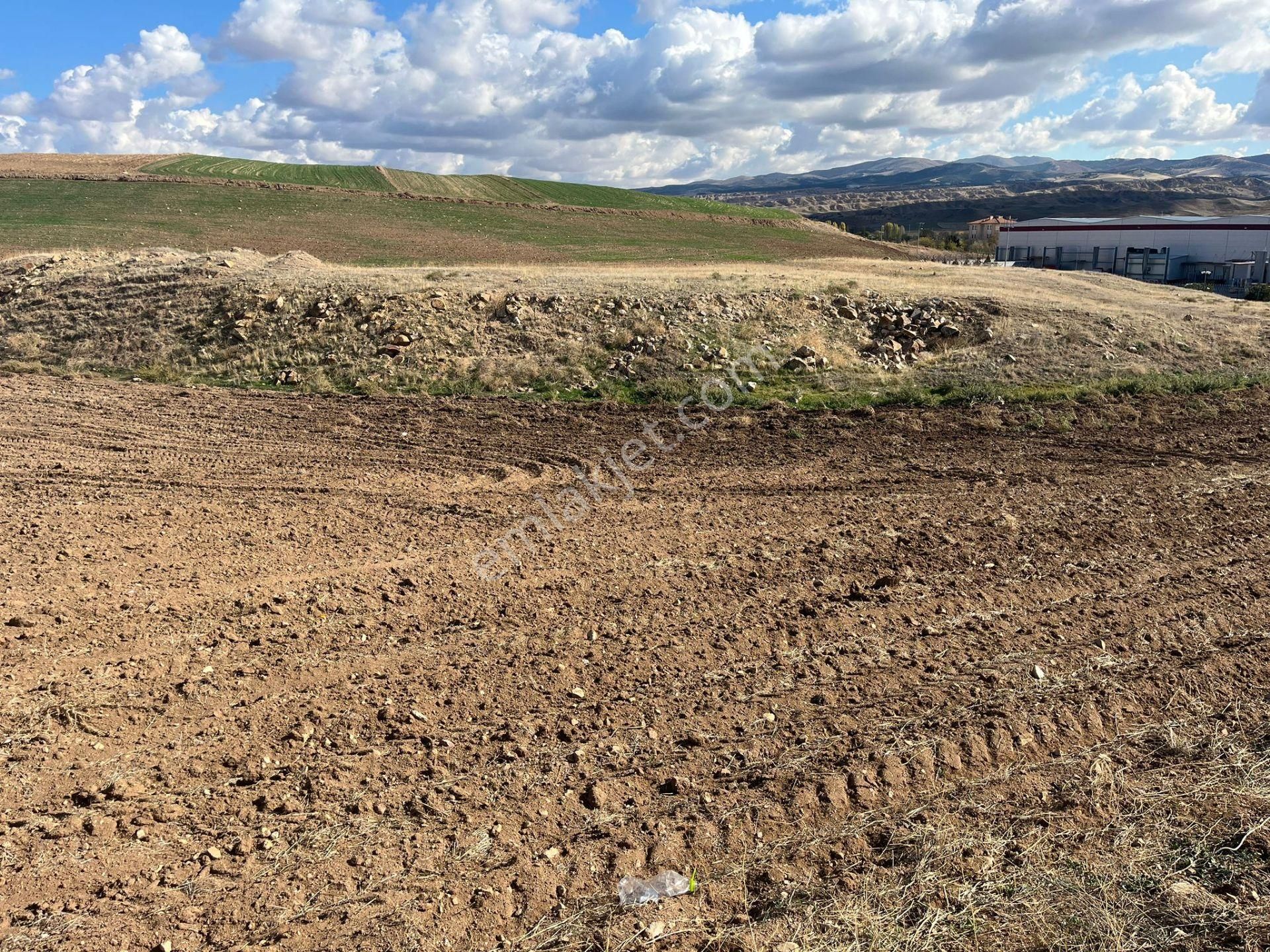 Anayola Yakın 477 M2 Fırsat Arsa - Görsel 13