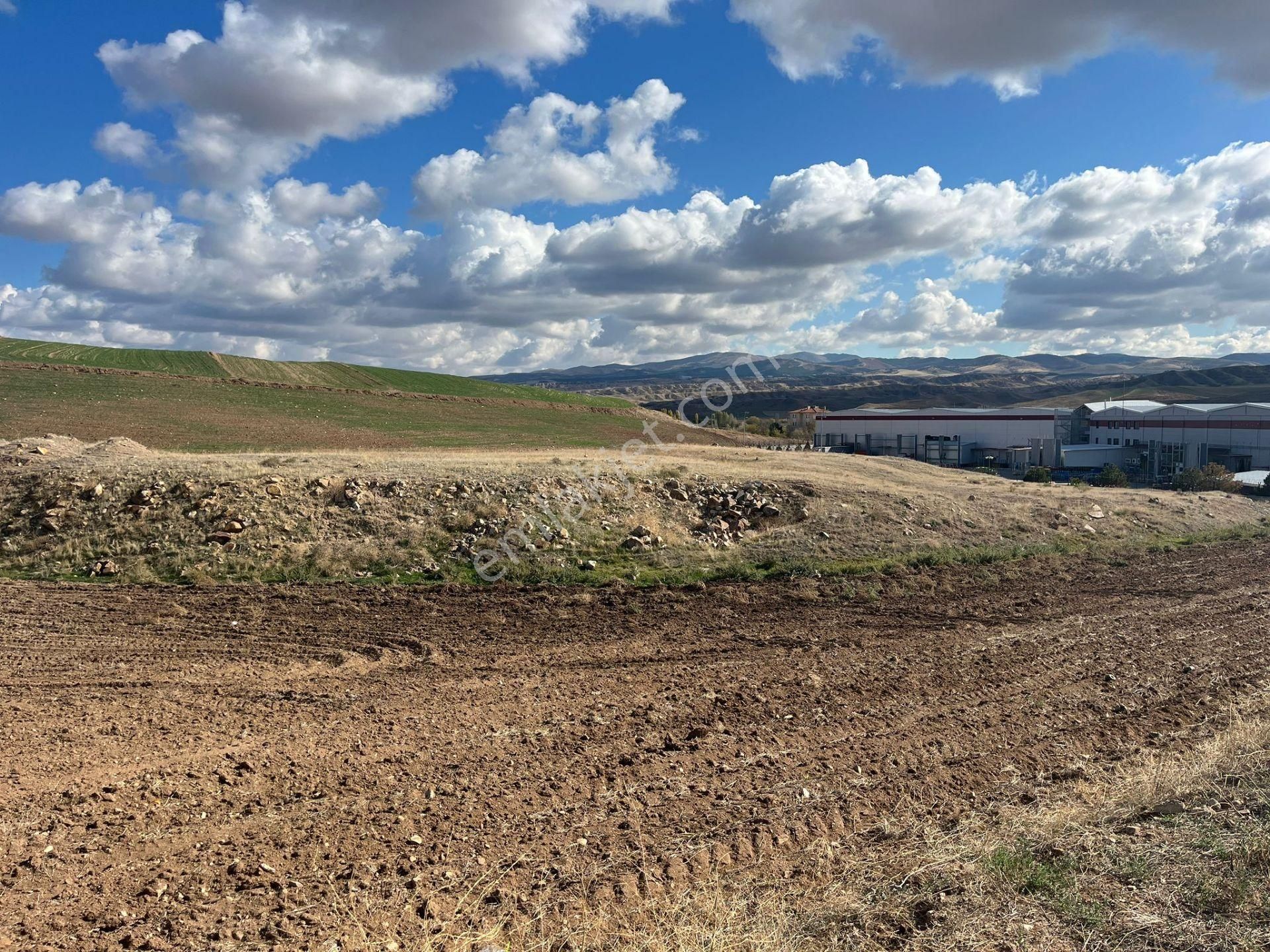 Anayola Yakın 477 M2 Fırsat Arsa - Görsel 9