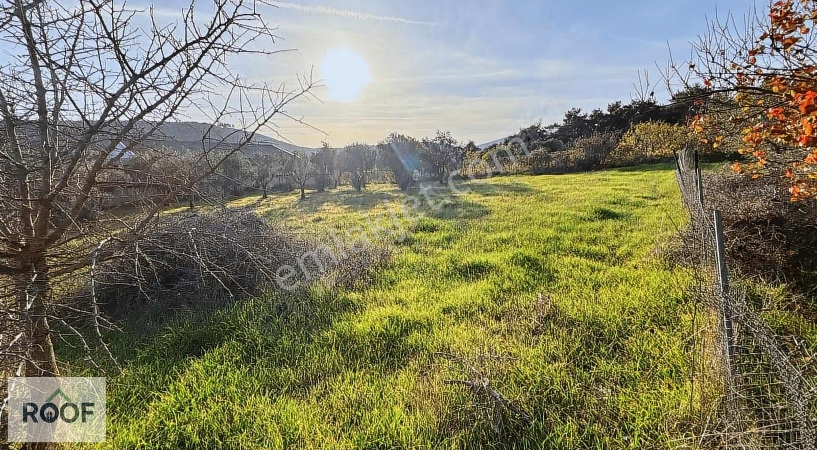 Bornova Çiçekliköy 907 M2 Arsa - Görsel 4