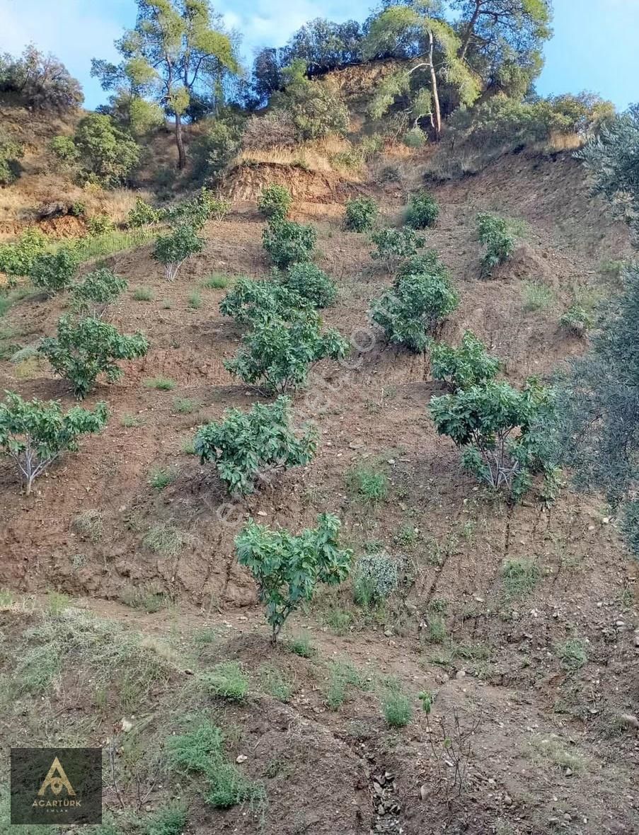 Dereağzı 4327 M2 İncirlik - Görsel 6