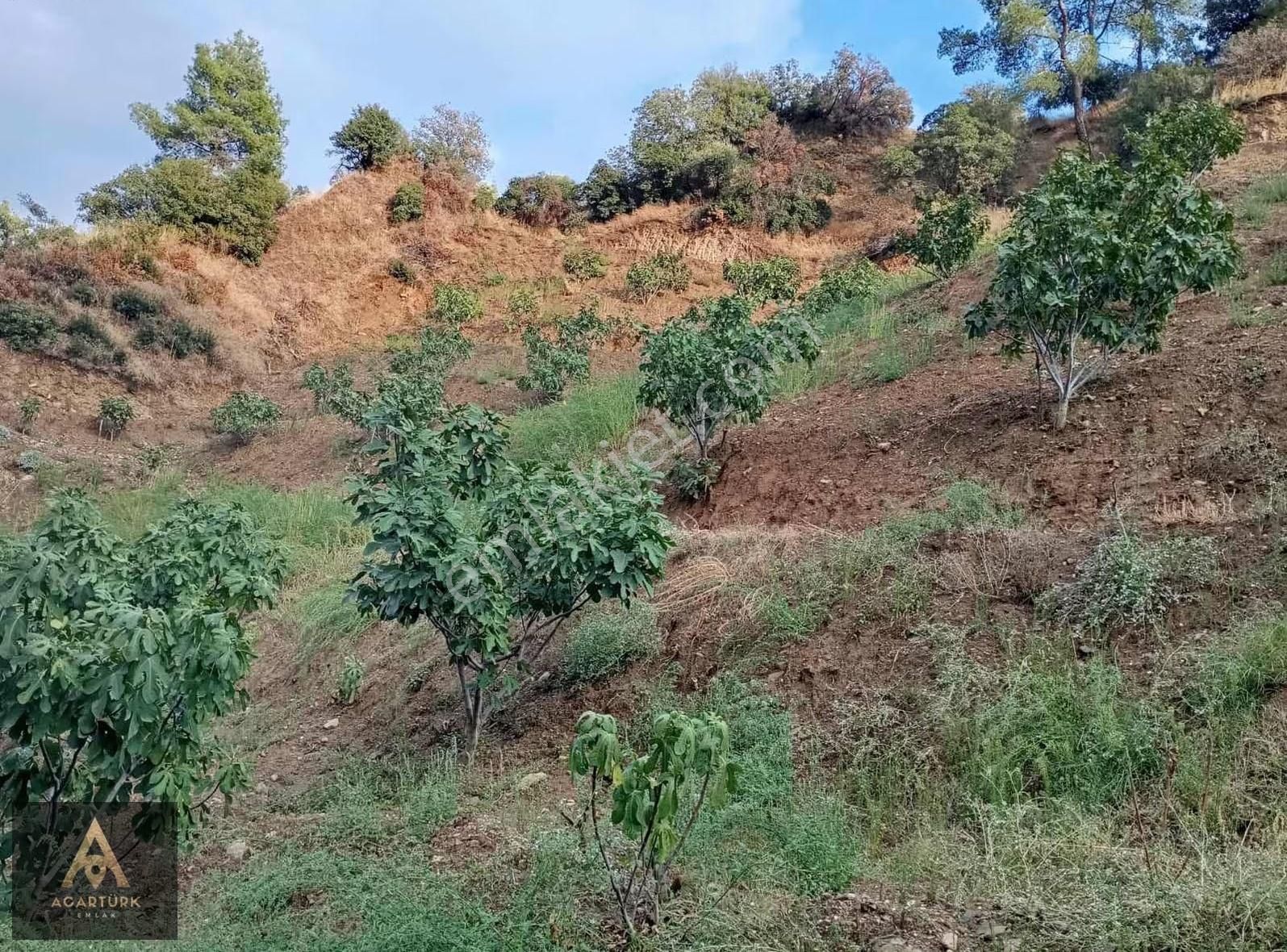 Dereağzı 4327 M2 İncirlik - Görsel 7