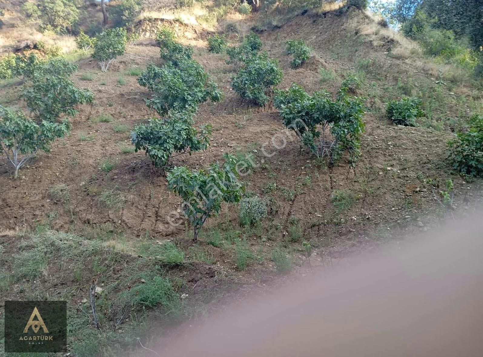 Dereağzı 4327 M2 İncirlik - Görsel 27