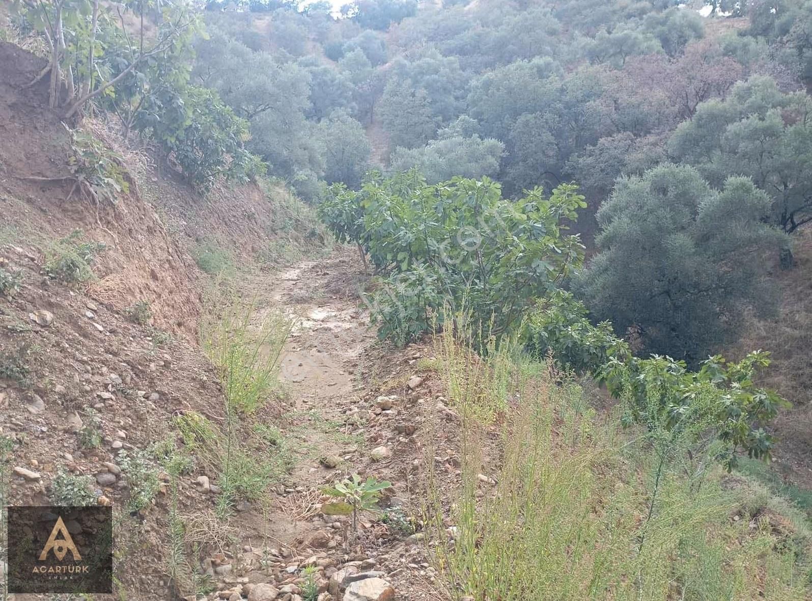 Dereağzı 4327 M2 İncirlik - Görsel 25