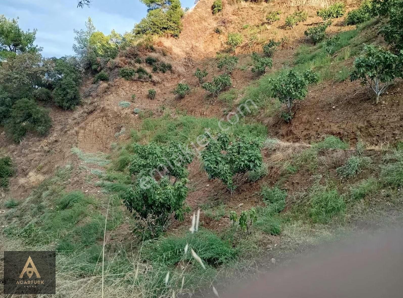 Dereağzı 4327 M2 İncirlik - Görsel 29