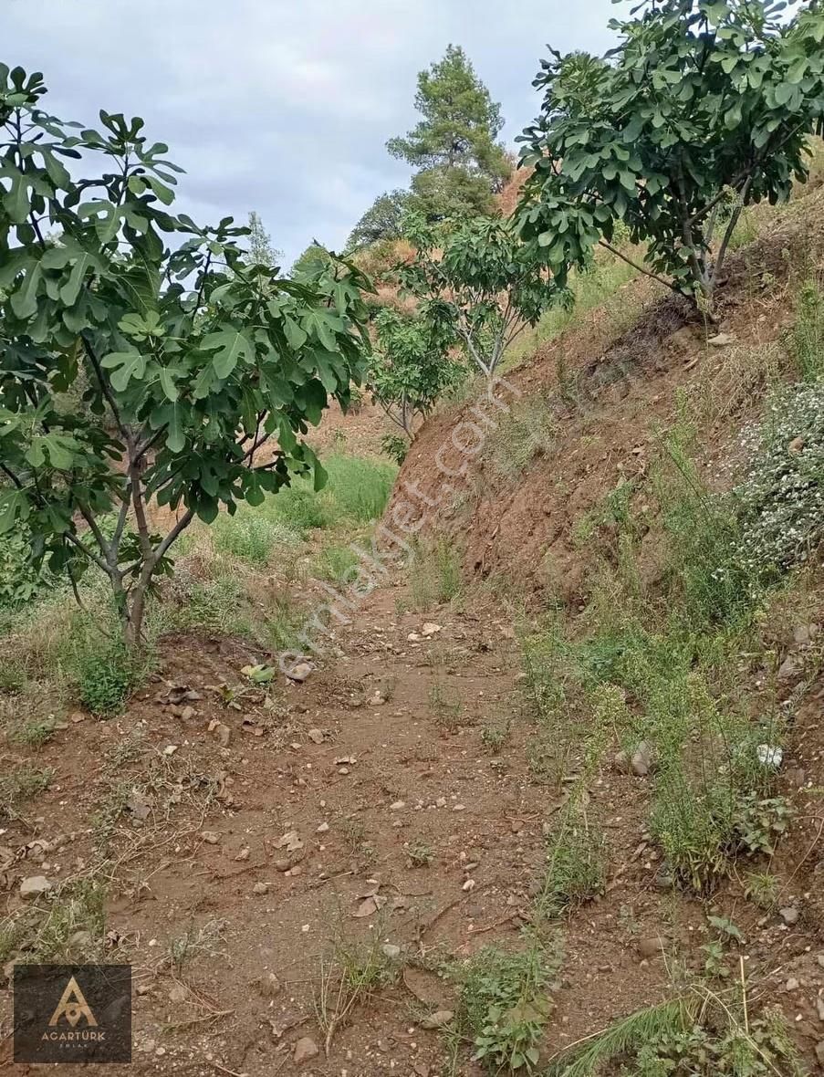 Dereağzı 4327 M2 İncirlik - Görsel 8