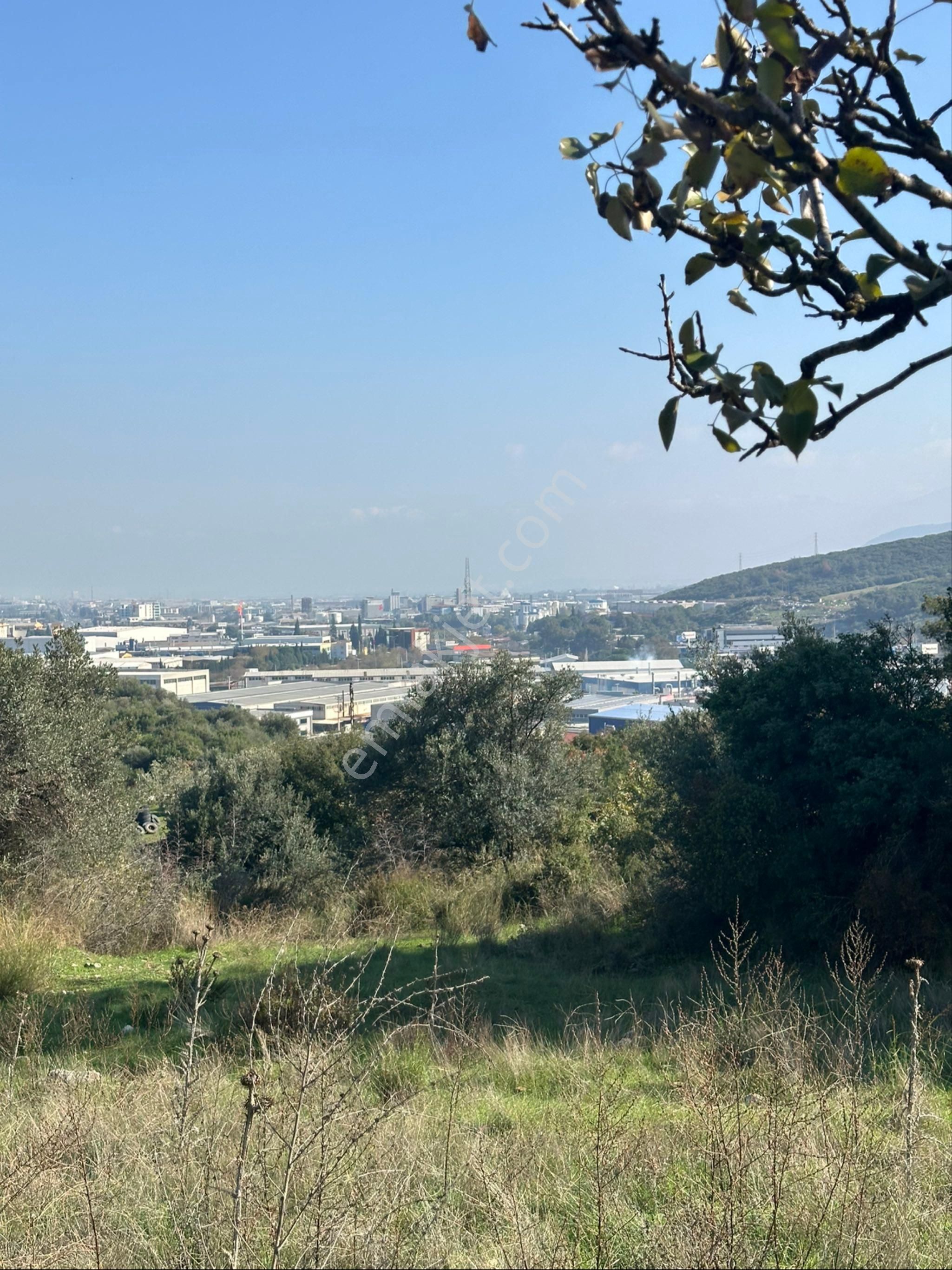 İzmir Kemalpaşa Da Bağ Ve Tarla - Görsel 2