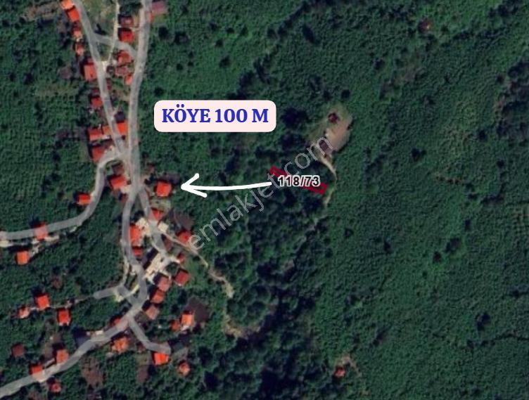 Giresun Görele Esenyurt Köyünde 264 M² Fındık Bahçesi Satılıktır - Görsel 4