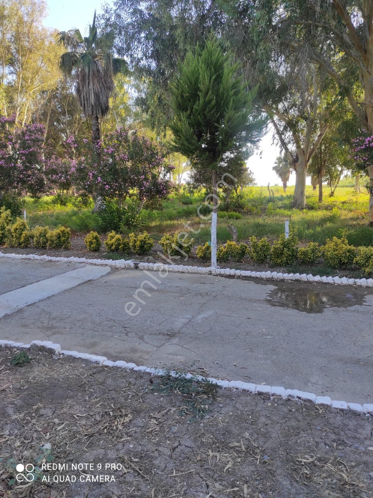 Didimde Daire Fiyatına Bahçeli Villa - Görsel 7