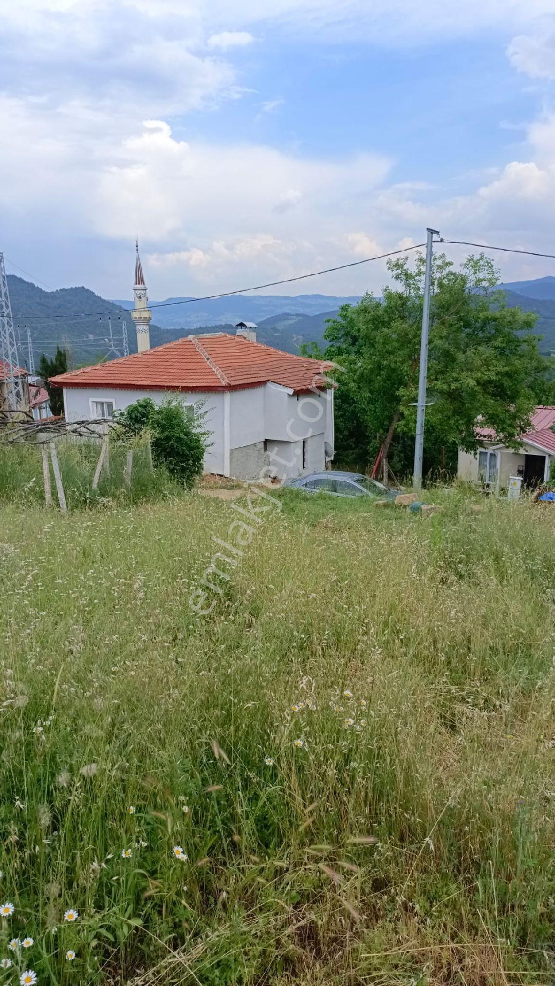 Geyve Ayıbaba Mahallesi'nde Konut İmarlı Uygun Arsa