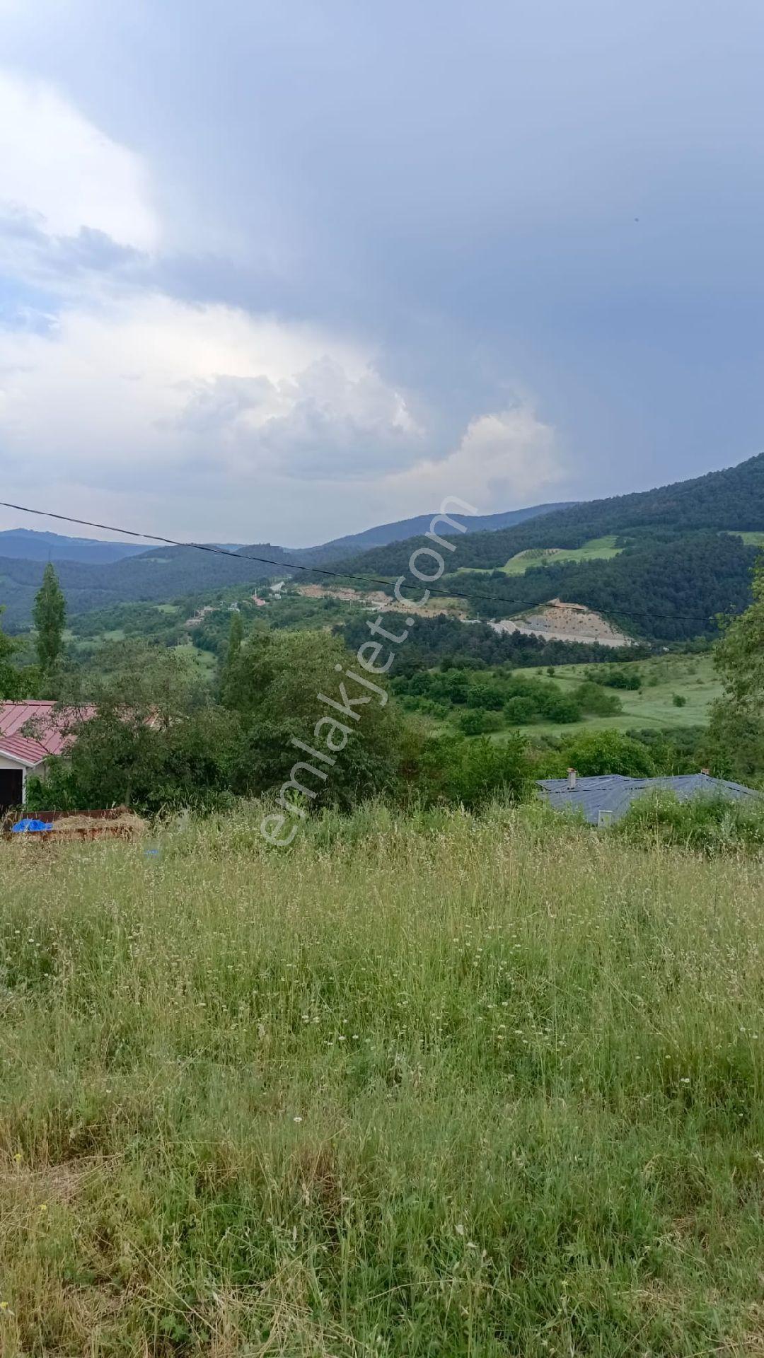 Geyve Ayıbaba Mahallesi'nde Konut İmarlı Uygun Arsa - Görsel 7