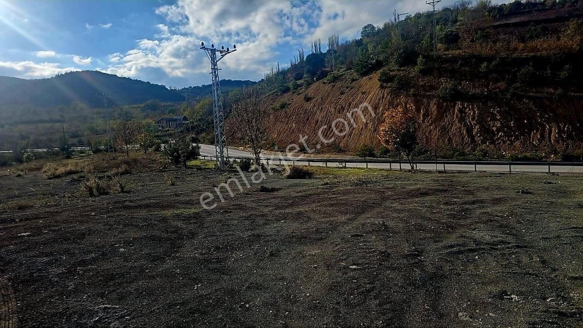 Geyve Taraklı Karayolu Üzeri Yatırımlık Tarla - Görsel 12