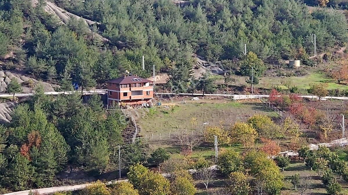 Geyve Taraklı Karayolu Üzeri Yatırımlık Tarla - Görsel 9