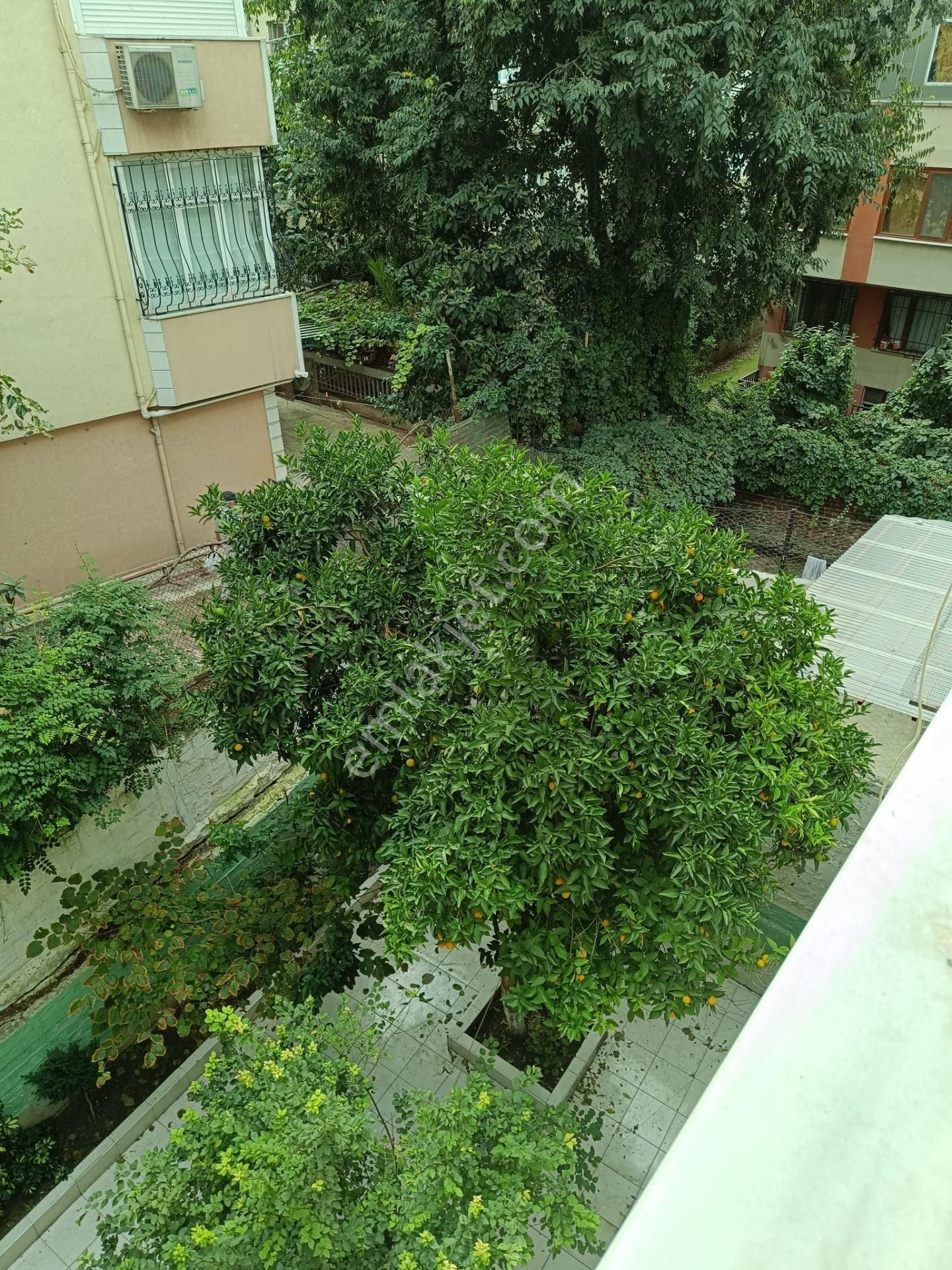 Fatih Vatan Caddesinde Kelepir Satılık Daire