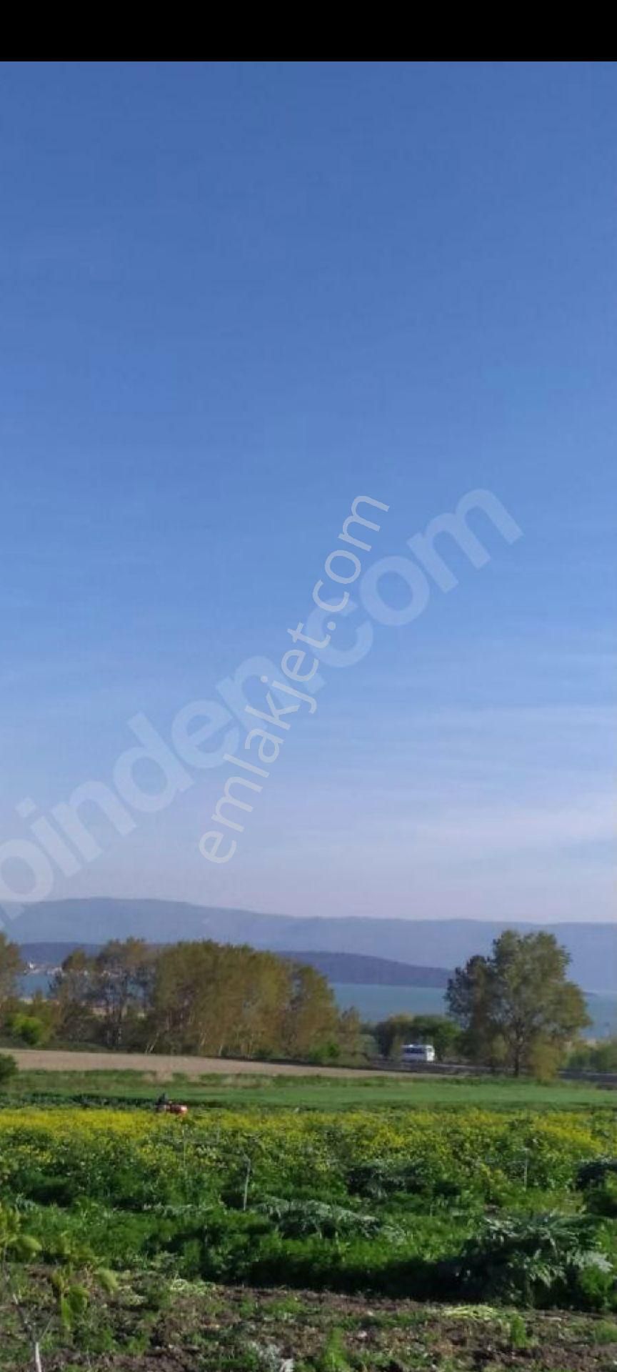 My Ekipdenbursa Karacabey Karakocada Teknosaba Yakın Arazi - Görsel 19
