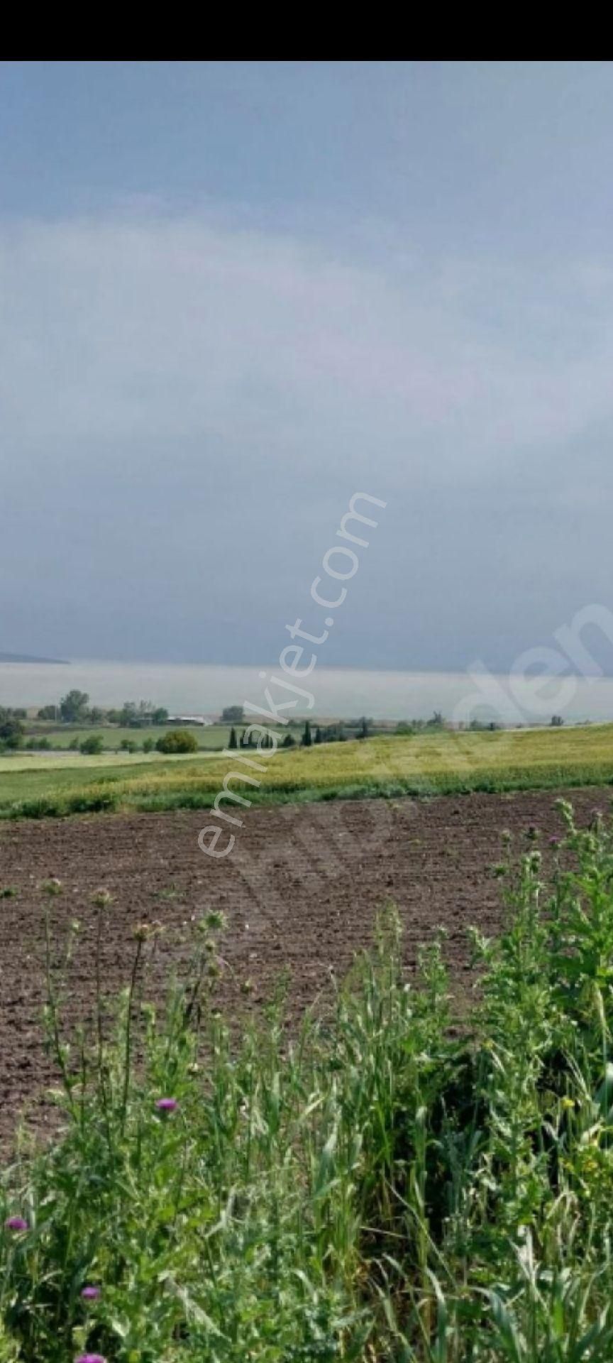 My Ekipdenbursa Karacabey Karakocada Teknosaba Yakın Arazi - Görsel 21