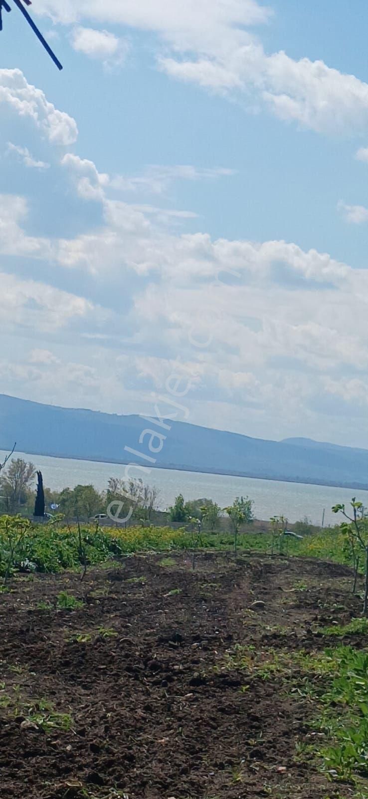 My Ekipdenbursa Karacabey Karakocada Teknosaba Yakın Arazi - Görsel 28