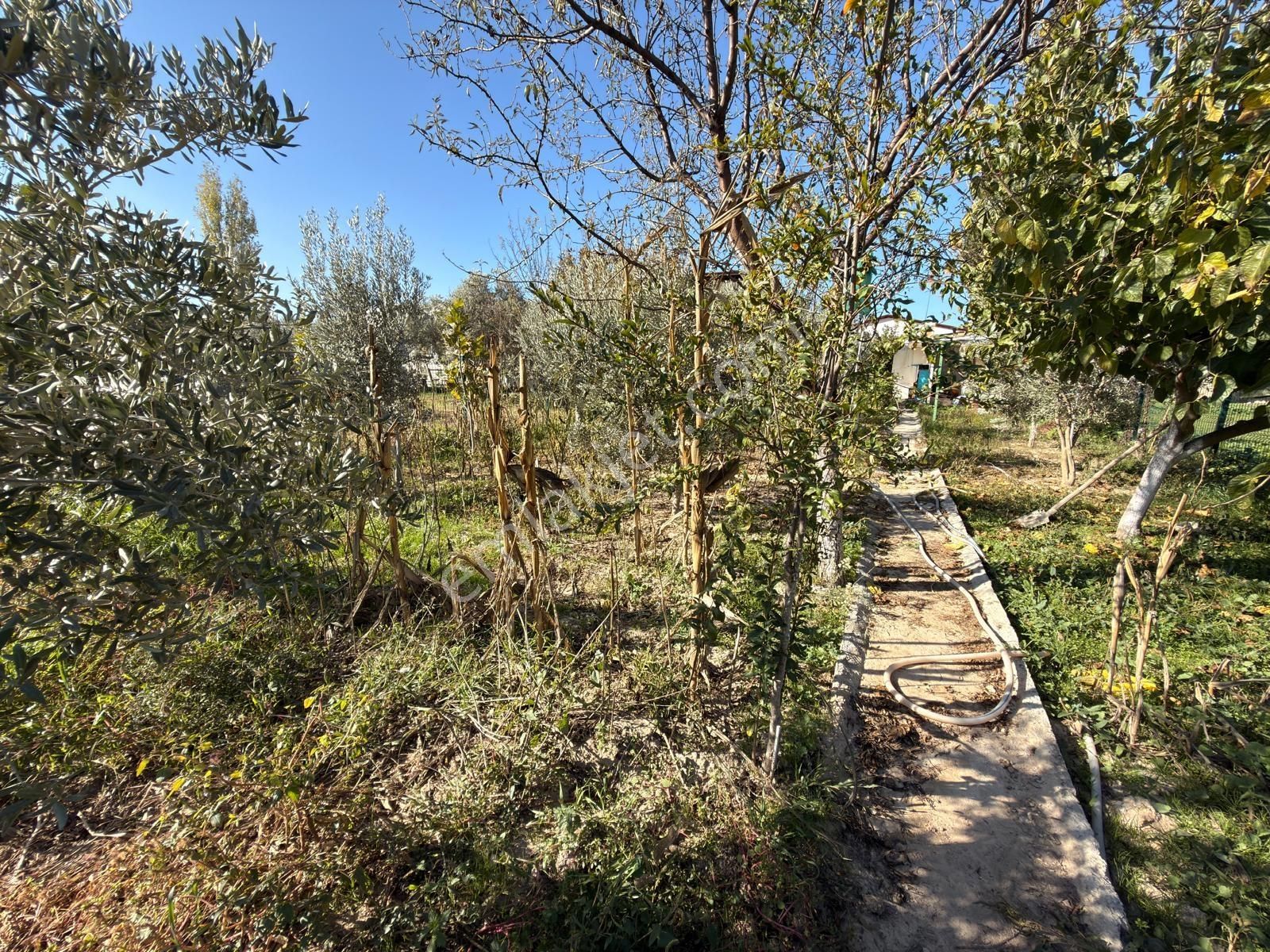 Didim Akyeniköy Mahallesinde Prefabrik Köy Evi! Fiyat Düştü - Görsel 18