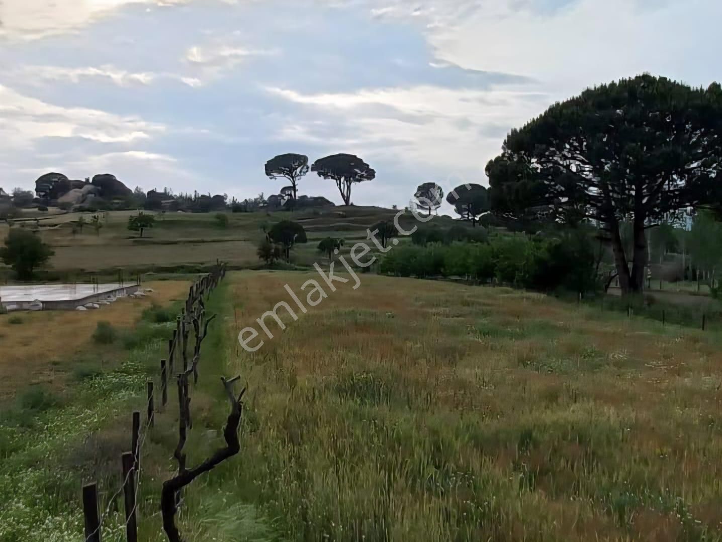 Milas Akkovanlık Satılık Tarla - Görsel 13