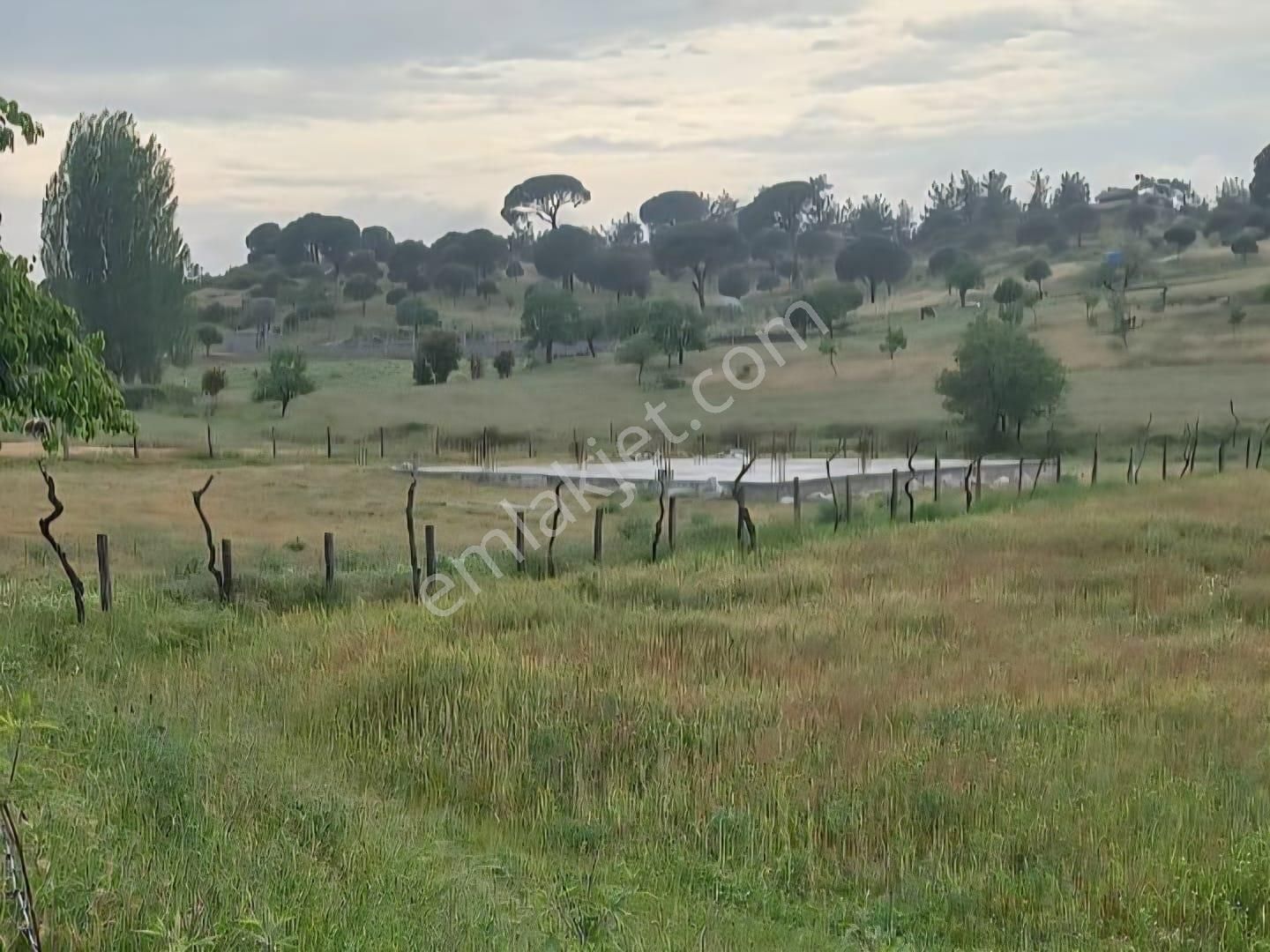 Milas Akkovanlık Satılık Tarla - Görsel 18