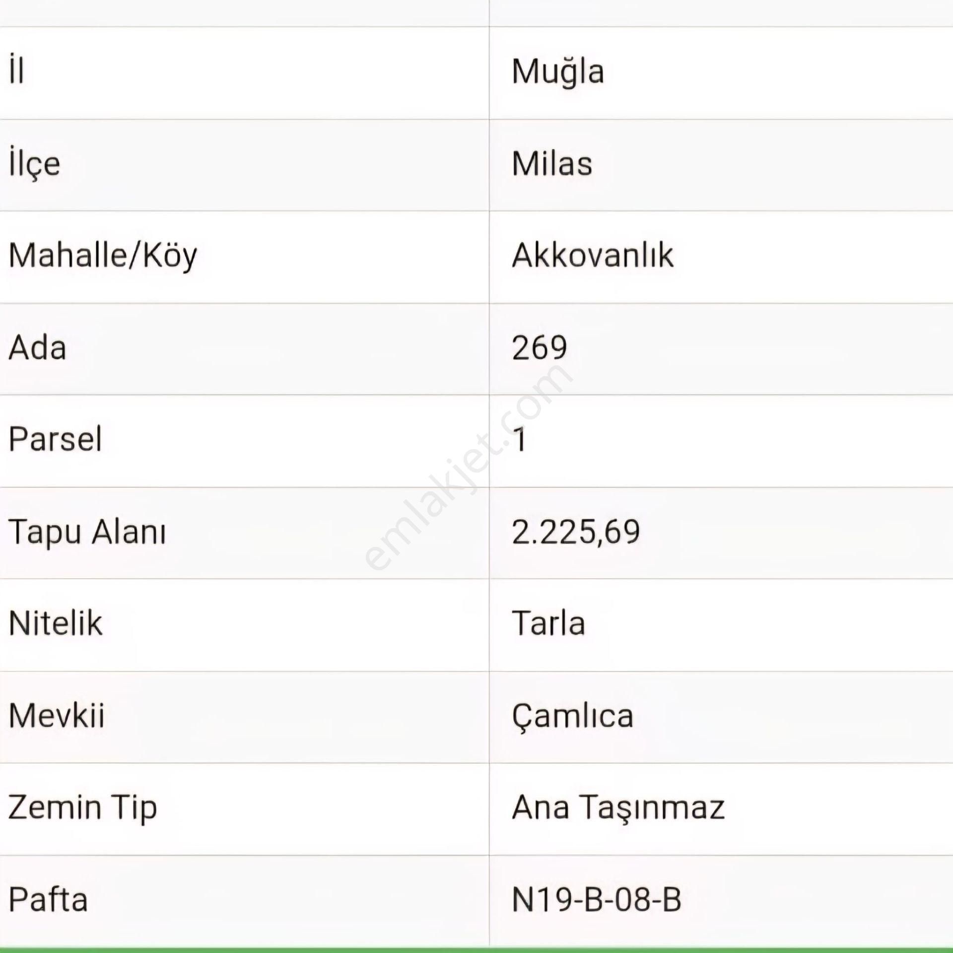 Milas Akkovanlık Satılık Tarla - Görsel 26