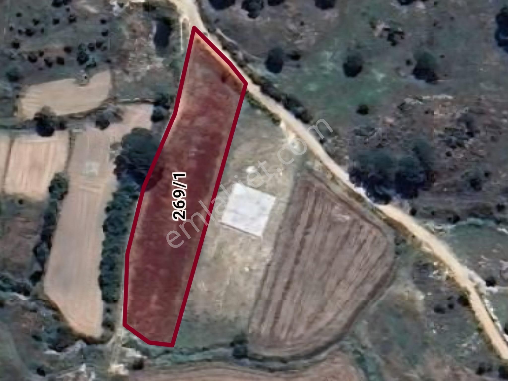 Milas Akkovanlık Satılık Tarla - Görsel 24