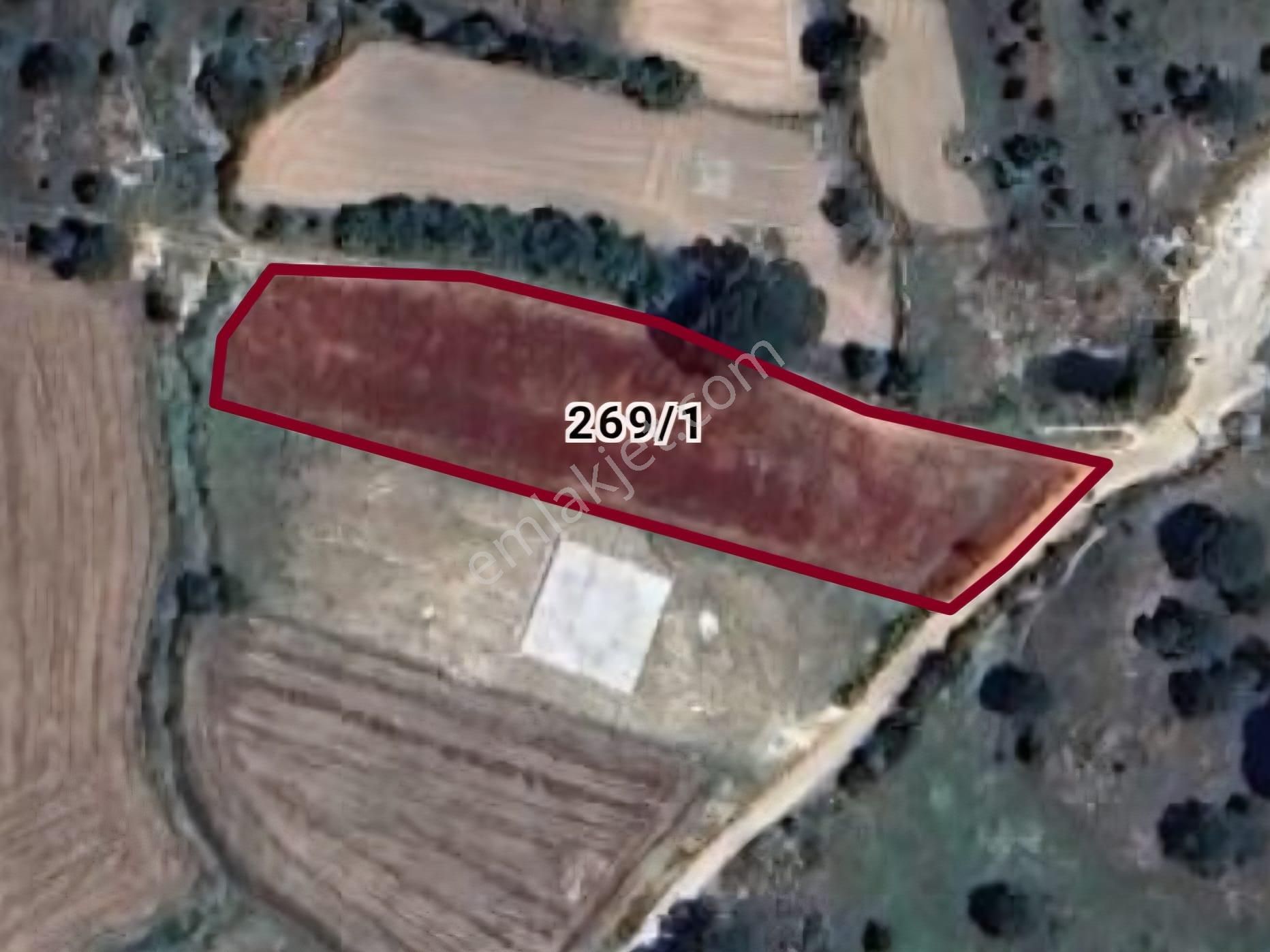 Milas Akkovanlık Satılık Tarla - Görsel 23