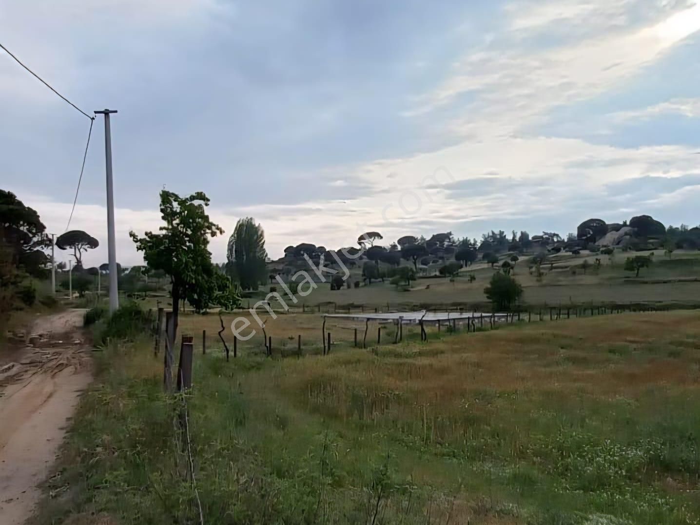 Milas Akkovanlık Satılık Tarla - Görsel 16