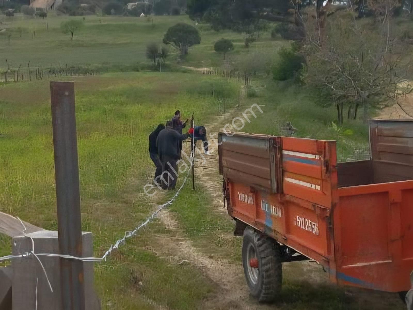 Milas Akkovanlık Satılık Tarla - Görsel 10