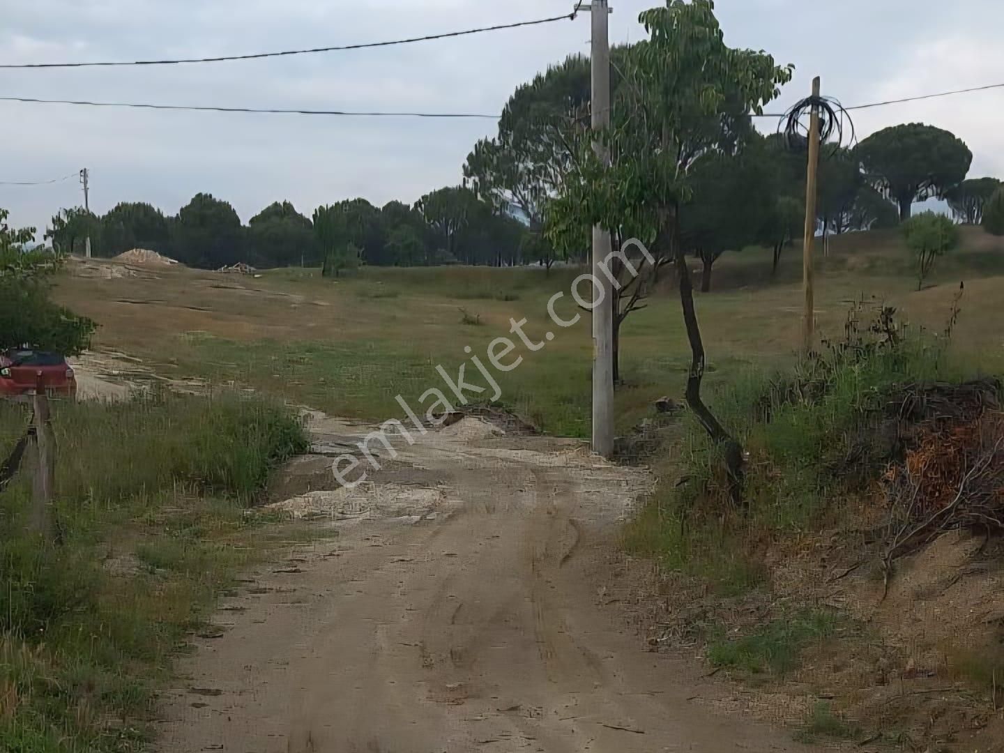 Milas Akkovanlık Satılık Tarla - Görsel 17