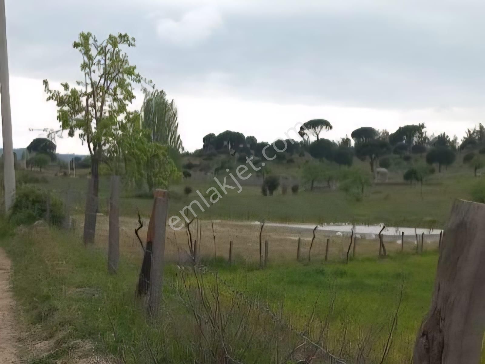 Milas Akkovanlık Satılık Tarla - Görsel 15