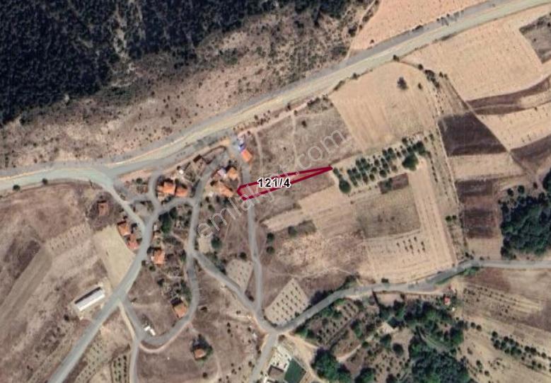 Bilecik Gölpazarı Dokuz Köyünde 945 M² Tarla Satılıktır