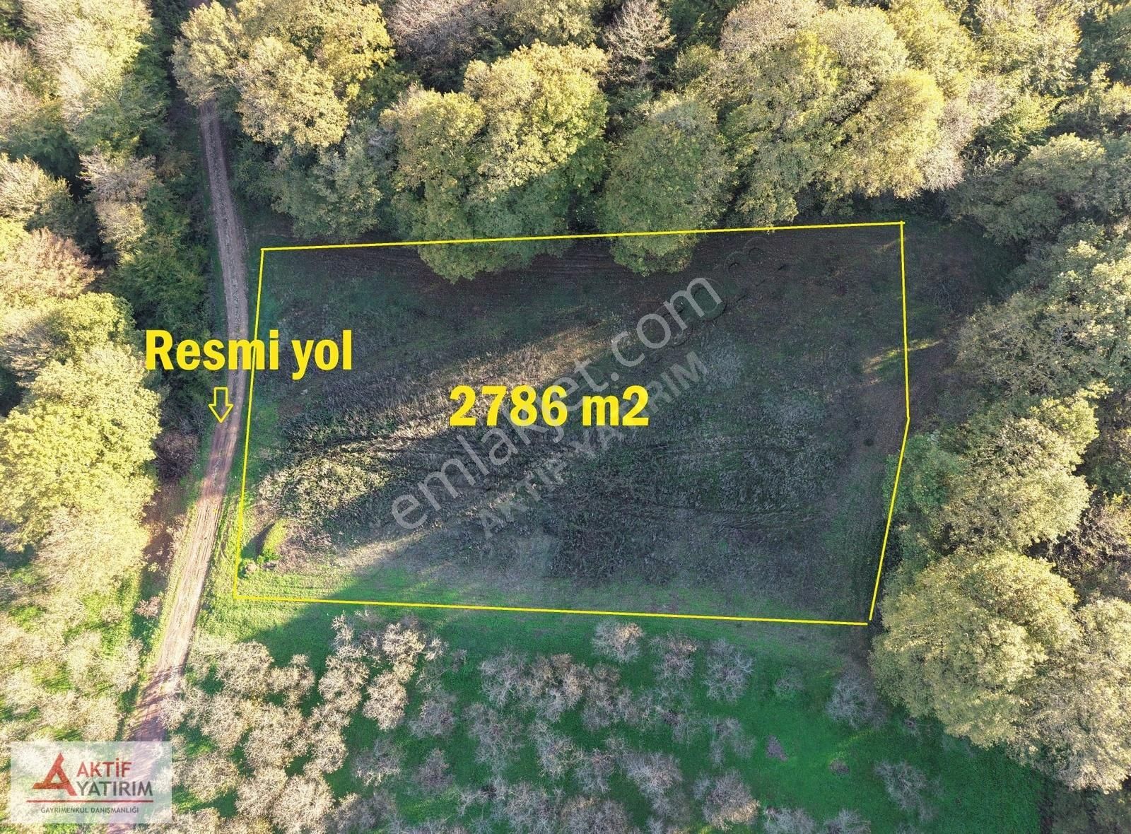 Sakarya Kaynarca Cebek 2786 M2 Kare Ormana Cepheli Resmi Yollu - Görsel 4