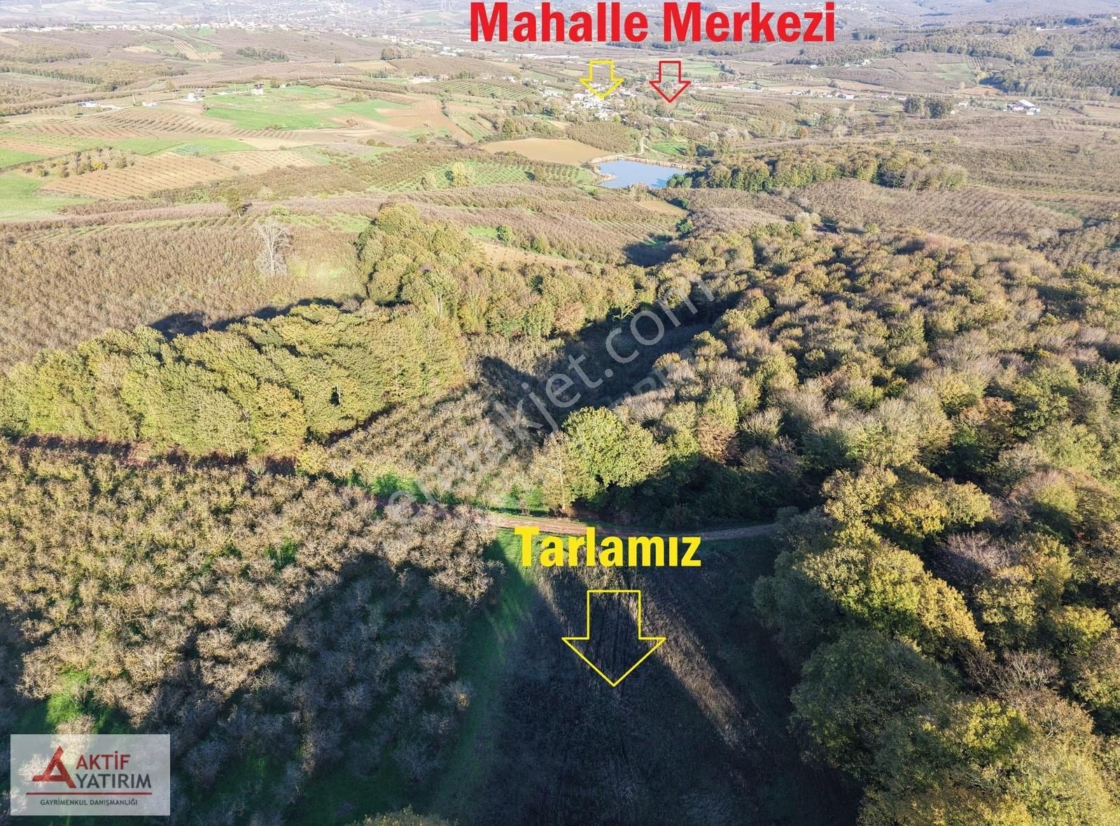 Sakarya Kaynarca Cebek 2786 M2 Kare Ormana Cepheli Resmi Yollu - Görsel 30