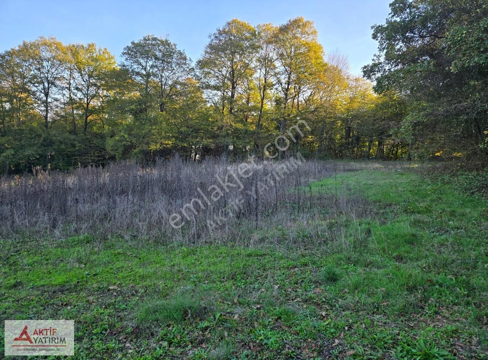 Sakarya Kaynarca Cebek 2786 M2 Kare Ormana Cepheli Resmi Yollu - Görsel 9