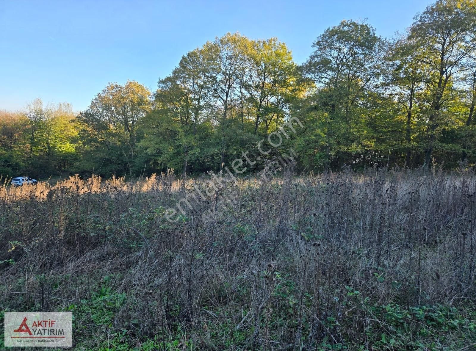 Sakarya Kaynarca Cebek 2786 M2 Kare Ormana Cepheli Resmi Yollu - Görsel 27