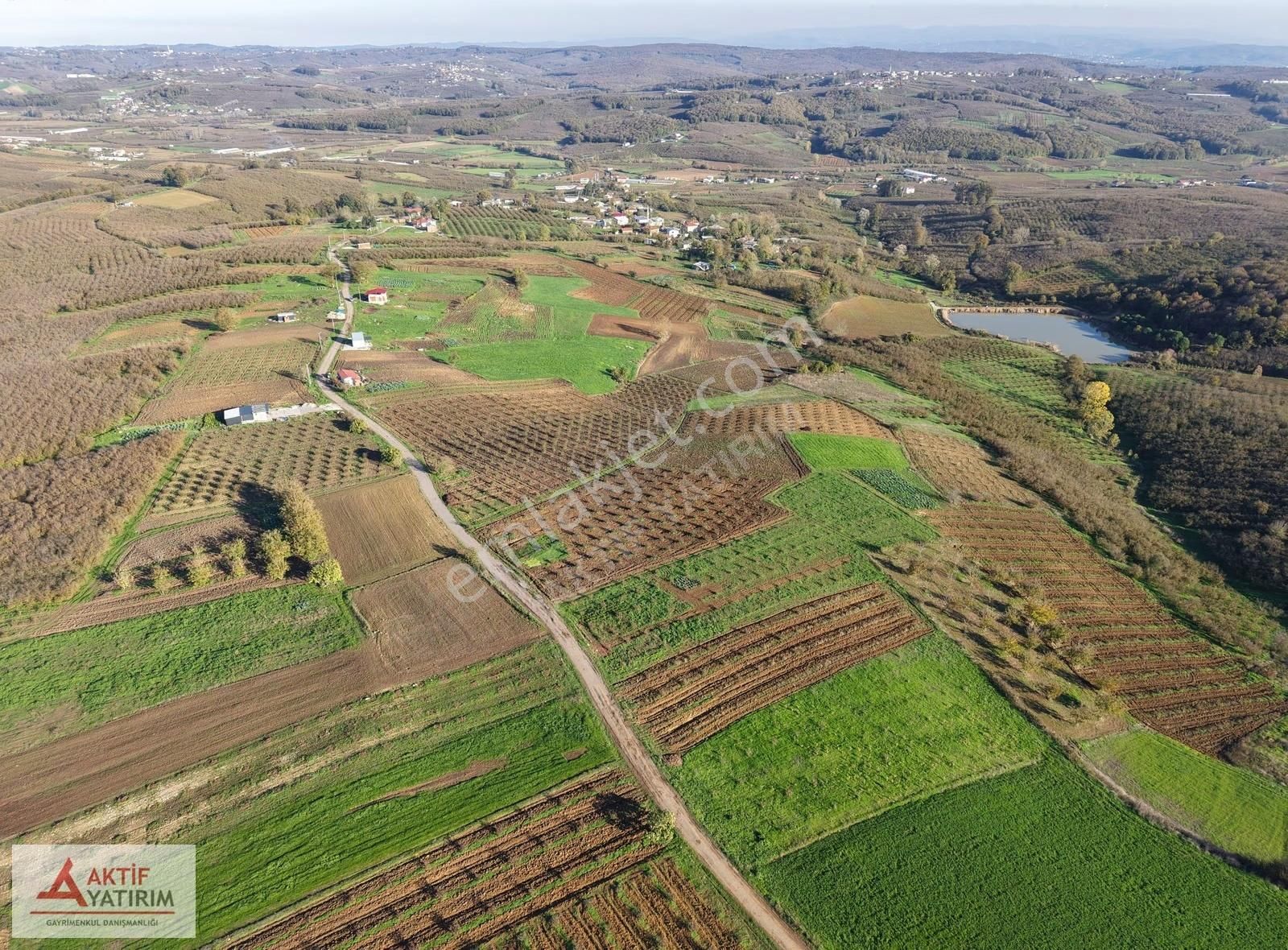 Sakarya Kaynarca Cebek 2786 M2 Kare Ormana Cepheli Resmi Yollu - Görsel 7