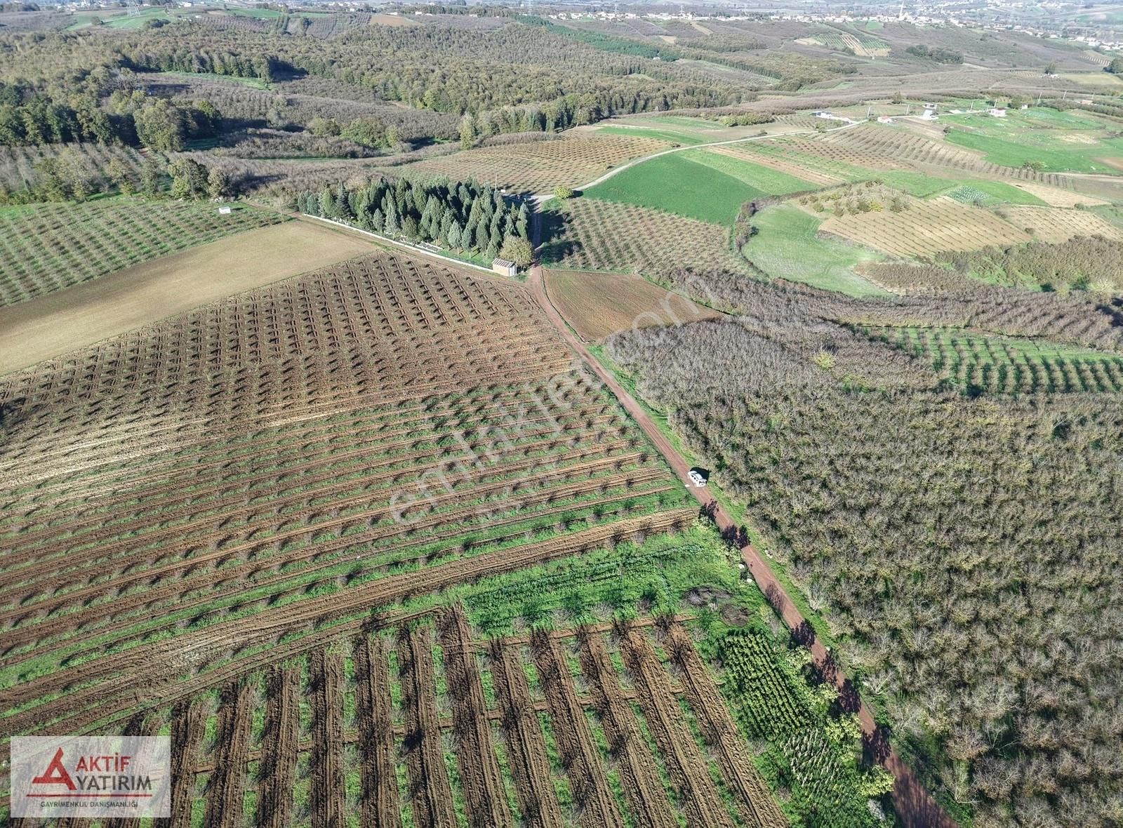 Sakarya Kaynarca Cebek 2786 M2 Kare Ormana Cepheli Resmi Yollu - Görsel 19
