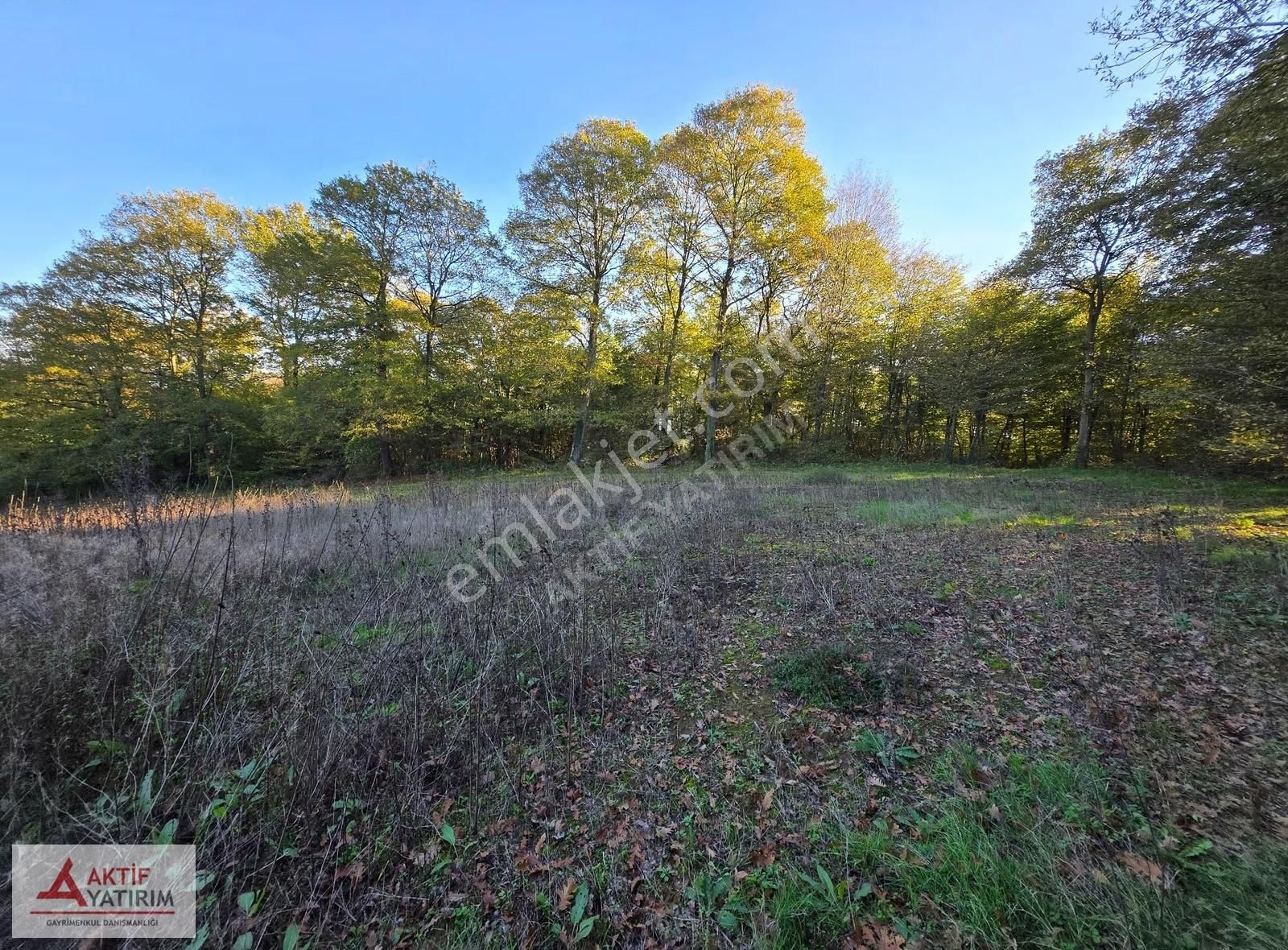 Sakarya Kaynarca Cebek 2786 M2 Kare Ormana Cepheli Resmi Yollu - Görsel 16