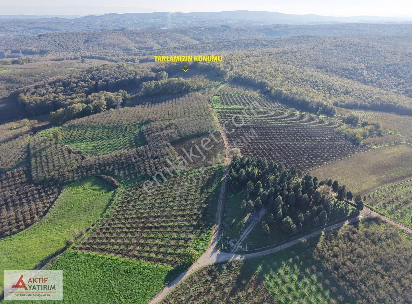 Sakarya Kaynarca Cebek 2786 M2 Kare Ormana Cepheli Resmi Yollu - Görsel 32