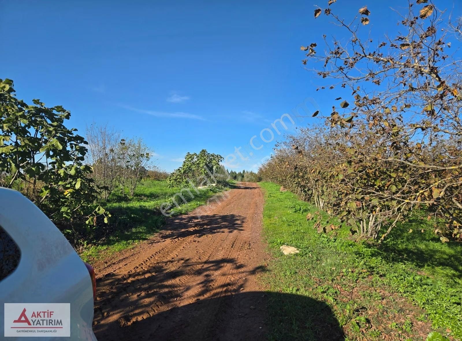 Sakarya Kaynarca Cebek 2786 M2 Kare Ormana Cepheli Resmi Yollu - Görsel 15