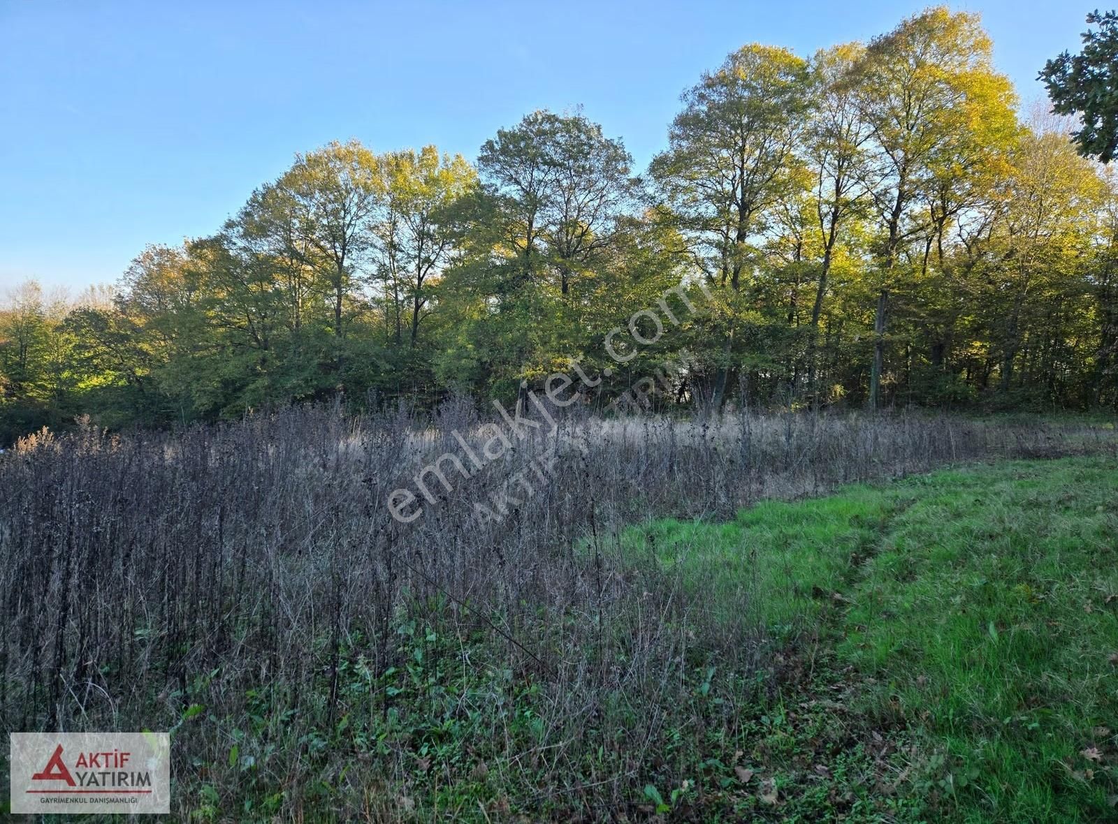 Sakarya Kaynarca Cebek 2786 M2 Kare Ormana Cepheli Resmi Yollu - Görsel 11