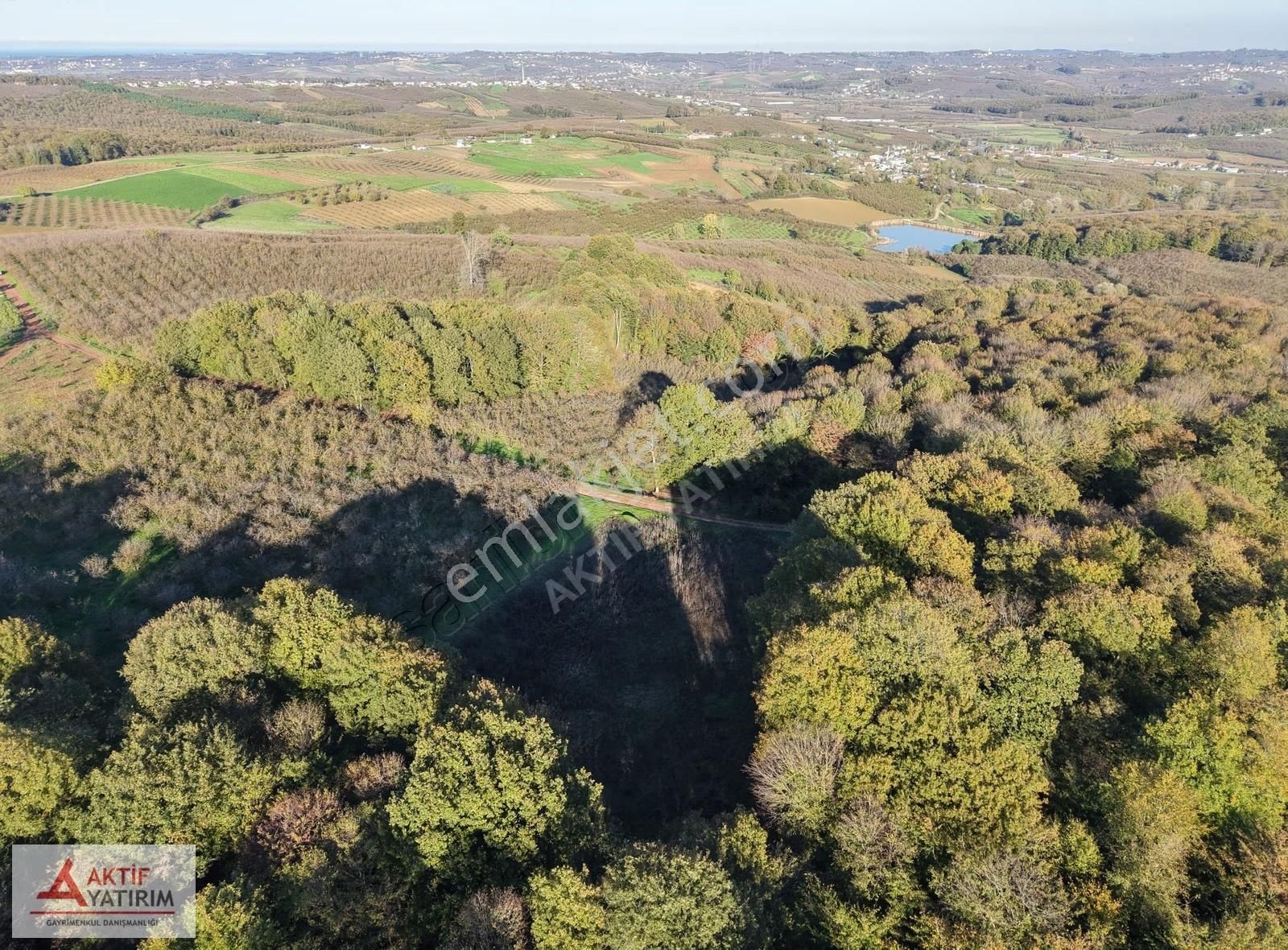 Sakarya Kaynarca Cebek 2786 M2 Kare Ormana Cepheli Resmi Yollu - Görsel 31