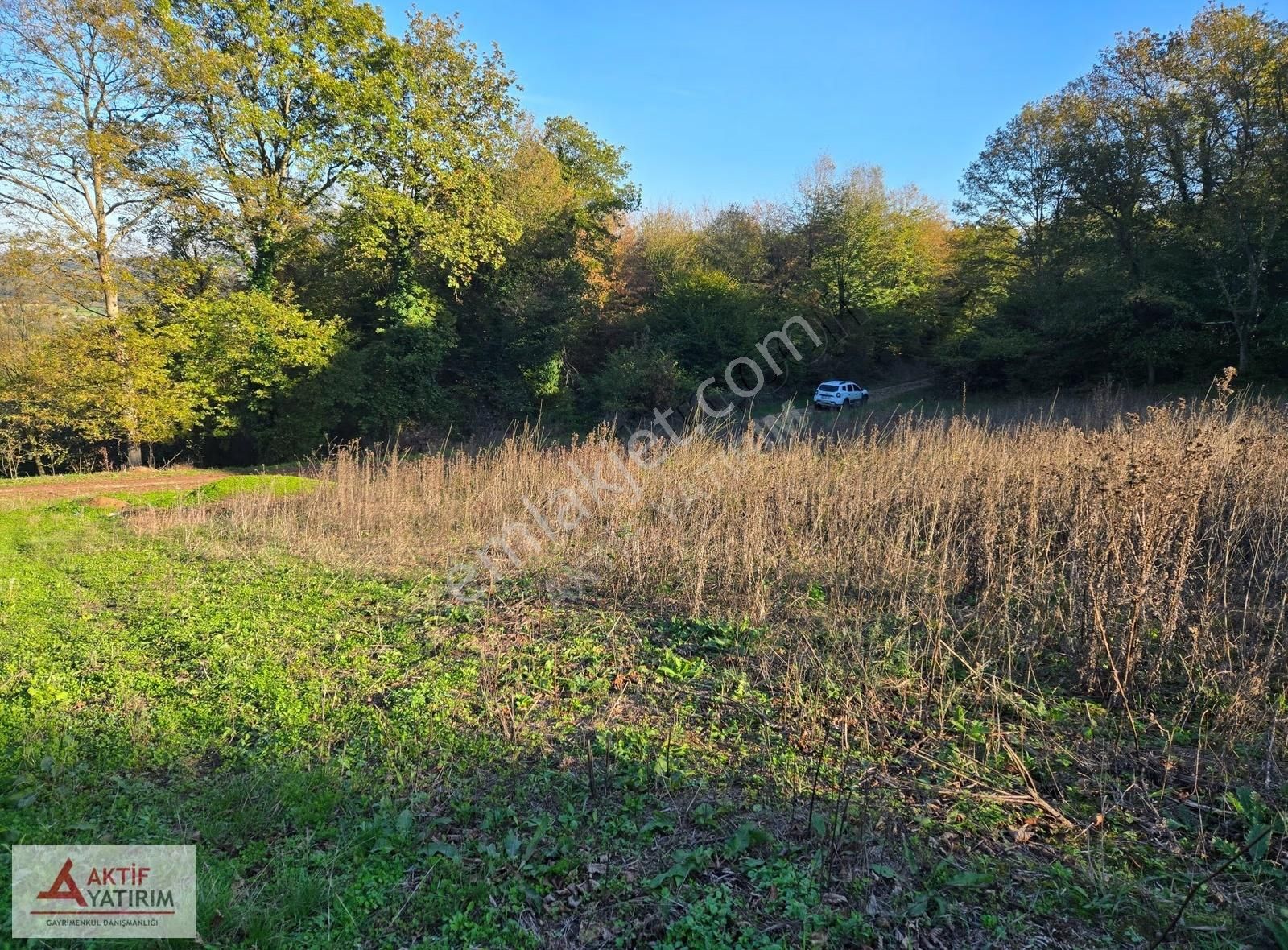 Sakarya Kaynarca Cebek 2786 M2 Kare Ormana Cepheli Resmi Yollu - Görsel 21