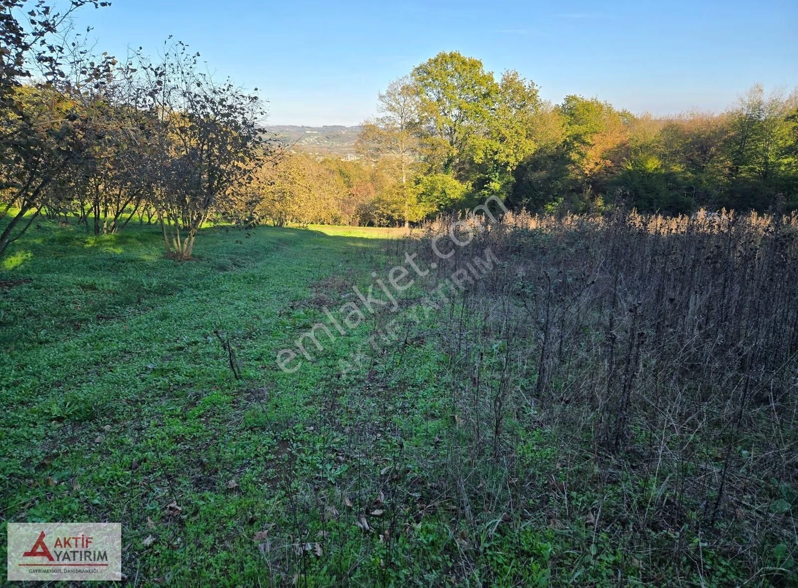 Sakarya Kaynarca Cebek 2786 M2 Kare Ormana Cepheli Resmi Yollu - Görsel 33