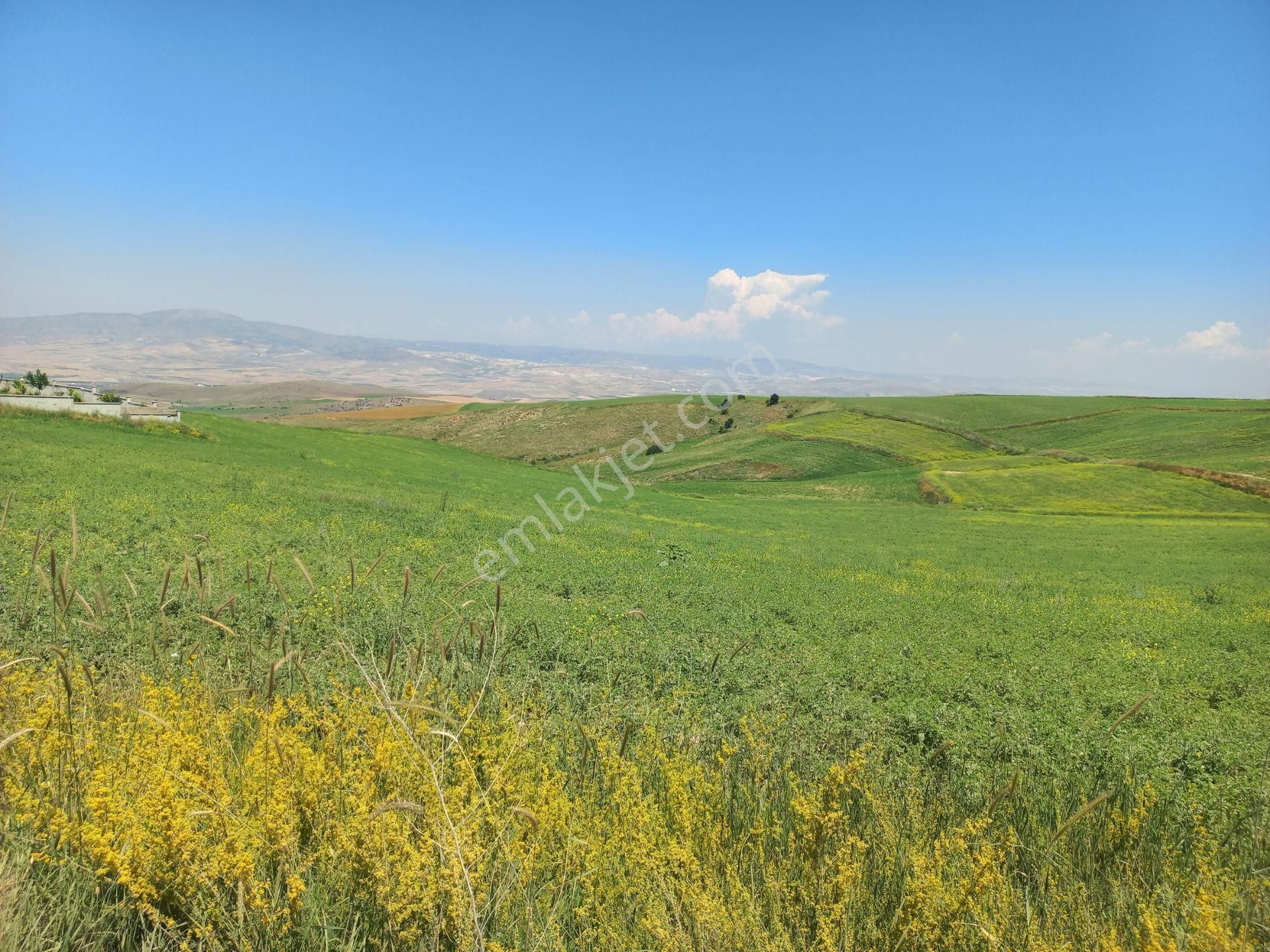 İlyap'tan Temelli Malıköyde İmarlı 250m2 Arsa - Görsel 5