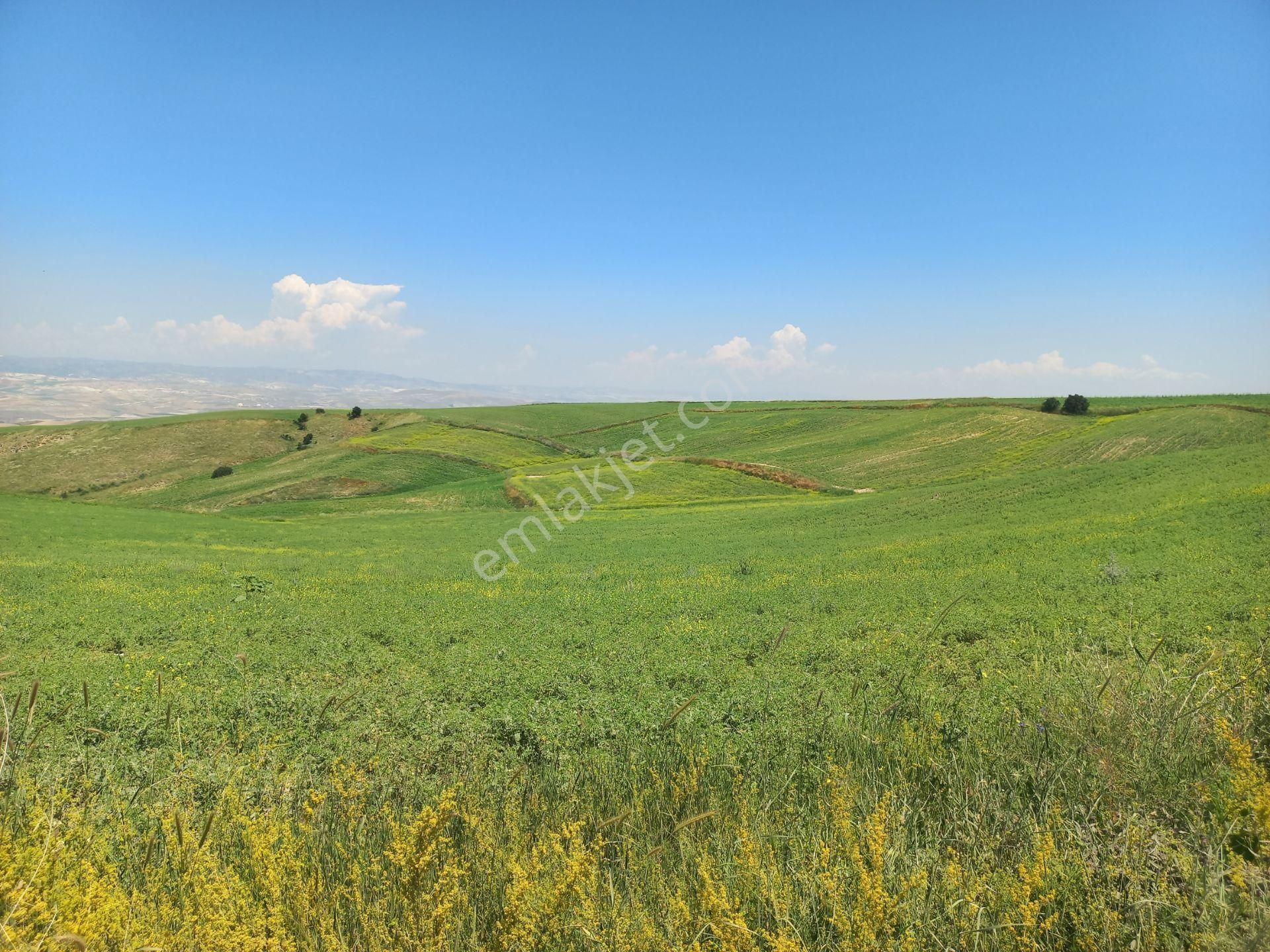 İlyap'tan Temelli Malıköyde İmarlı 250m2 Arsa - Görsel 6