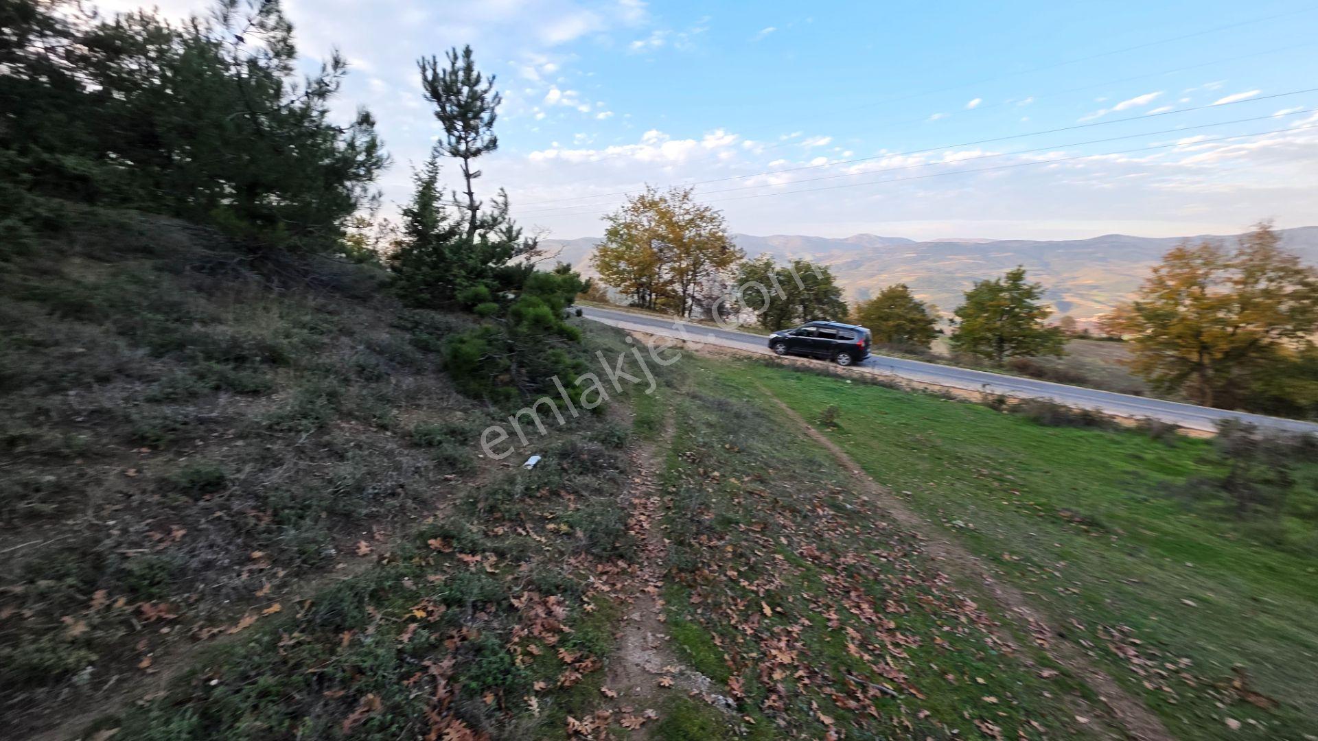 Asfalta Cepheli 1,781 M2 Akçapınar'da Kaçırılmayacak Arazi - Görsel 3