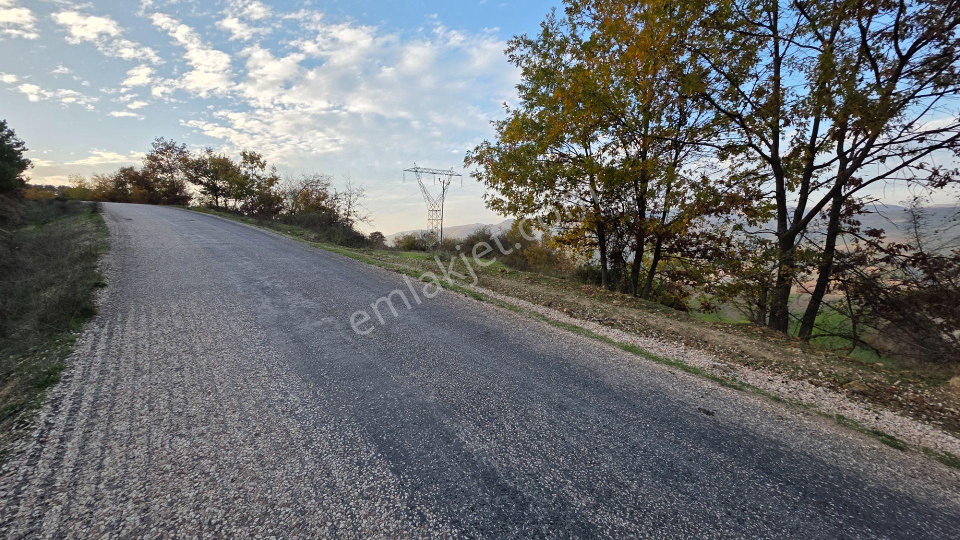 Asfalta Cepheli 1,781 M2 Akçapınar'da Kaçırılmayacak Arazi - Görsel 15