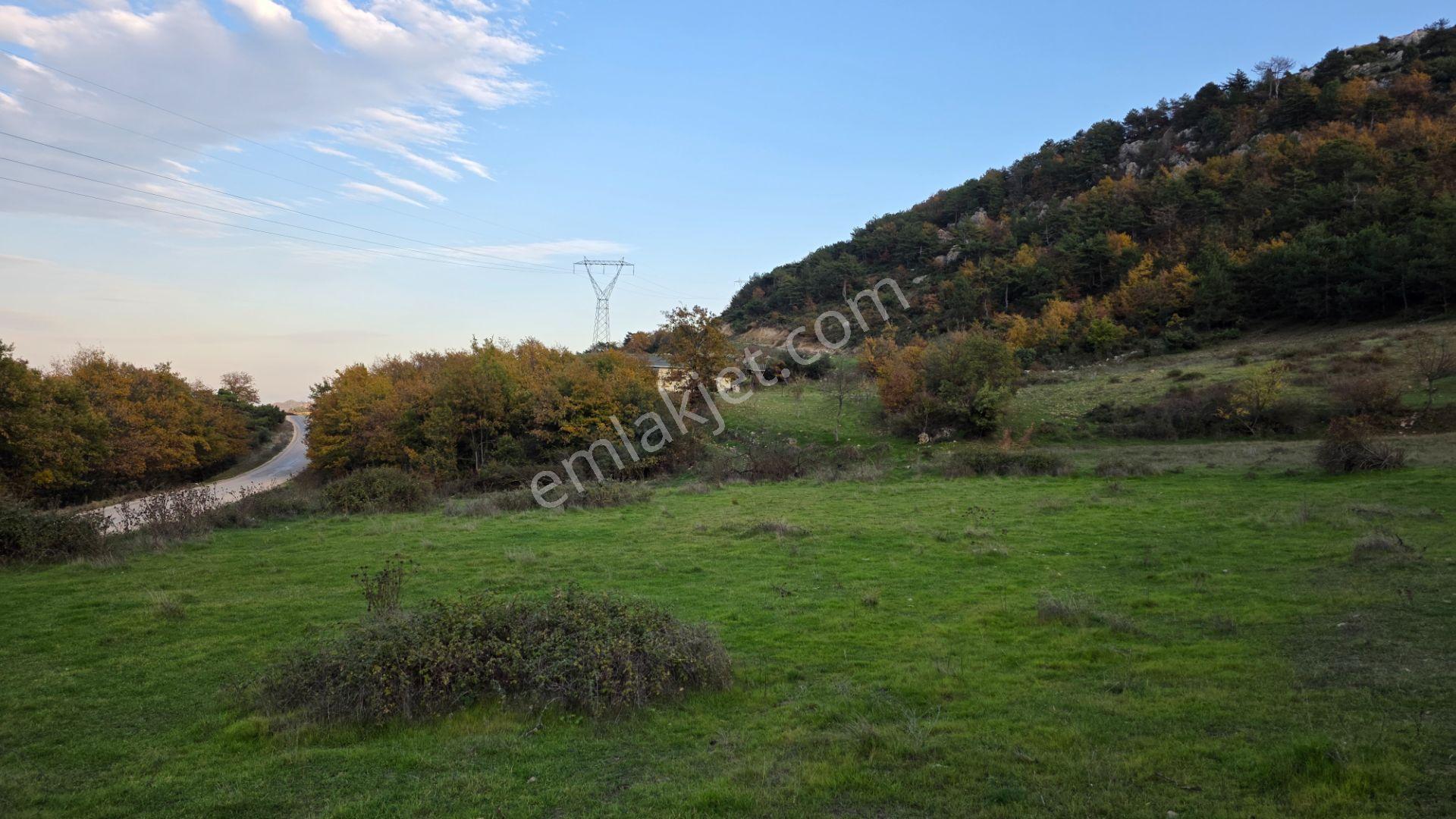 Asfalta Cepheli 1,781 M2 Akçapınar'da Kaçırılmayacak Arazi - Görsel 27